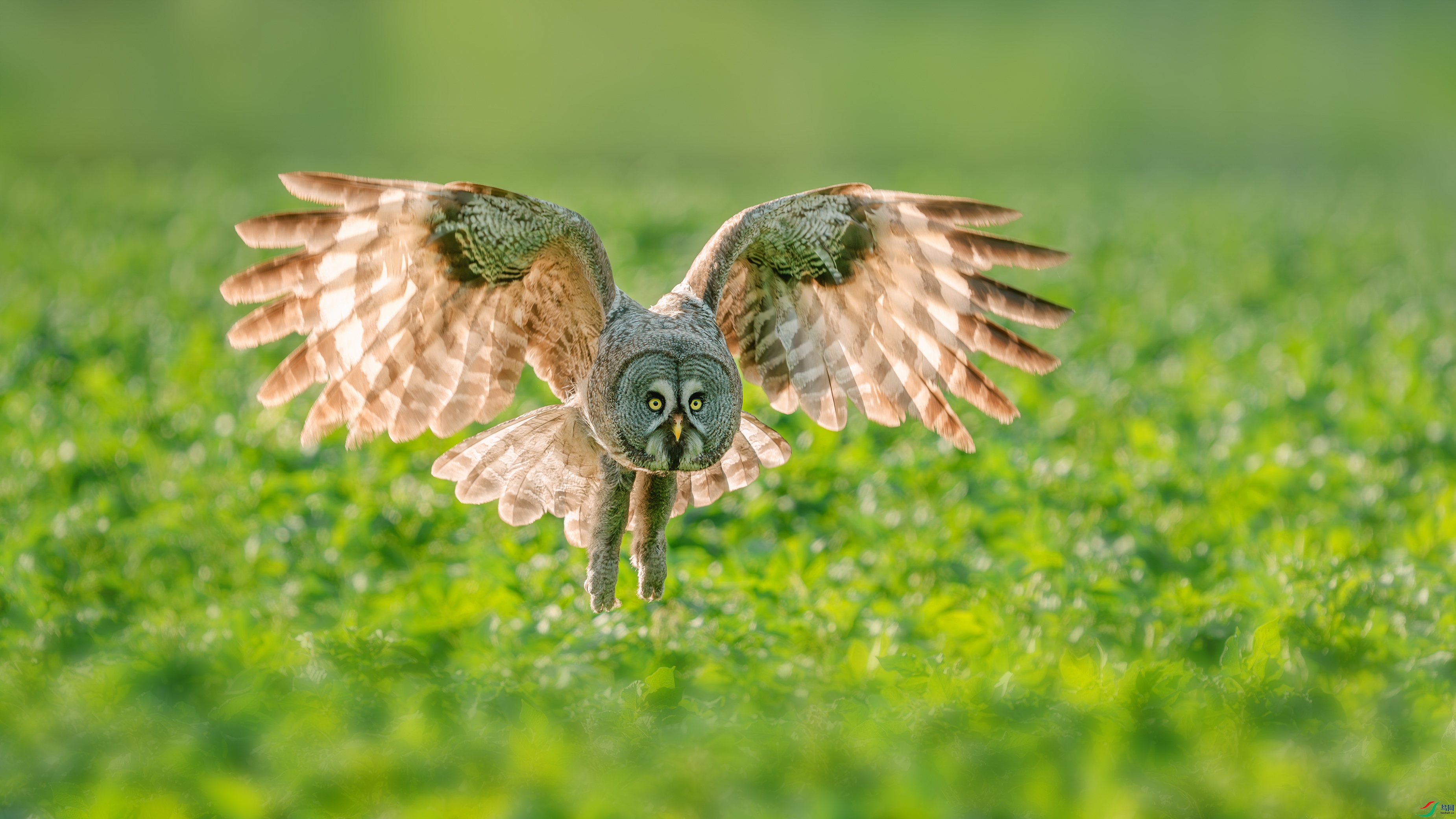 _DSC0013 ����.jpg