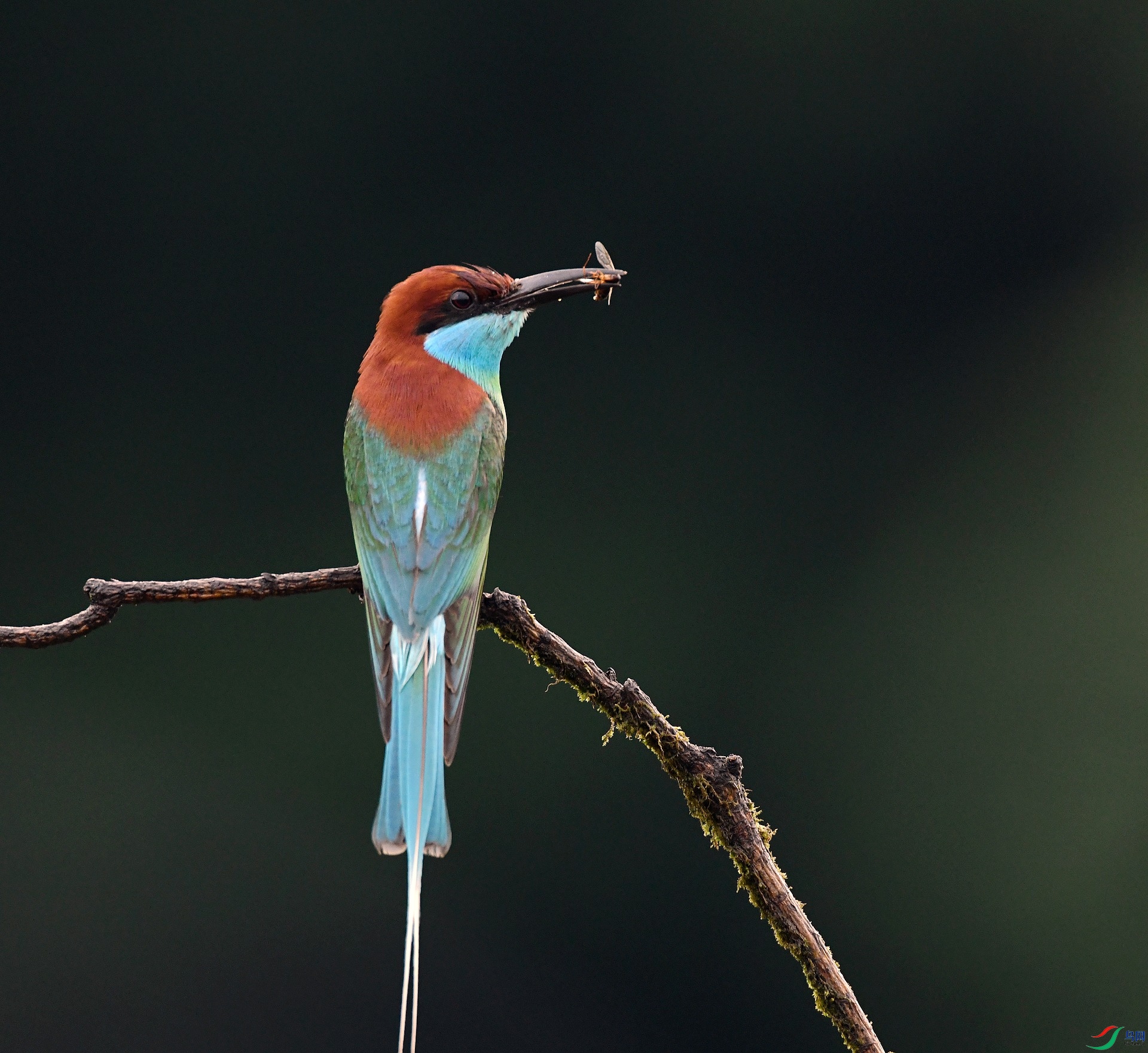 DSC_3200.jpg