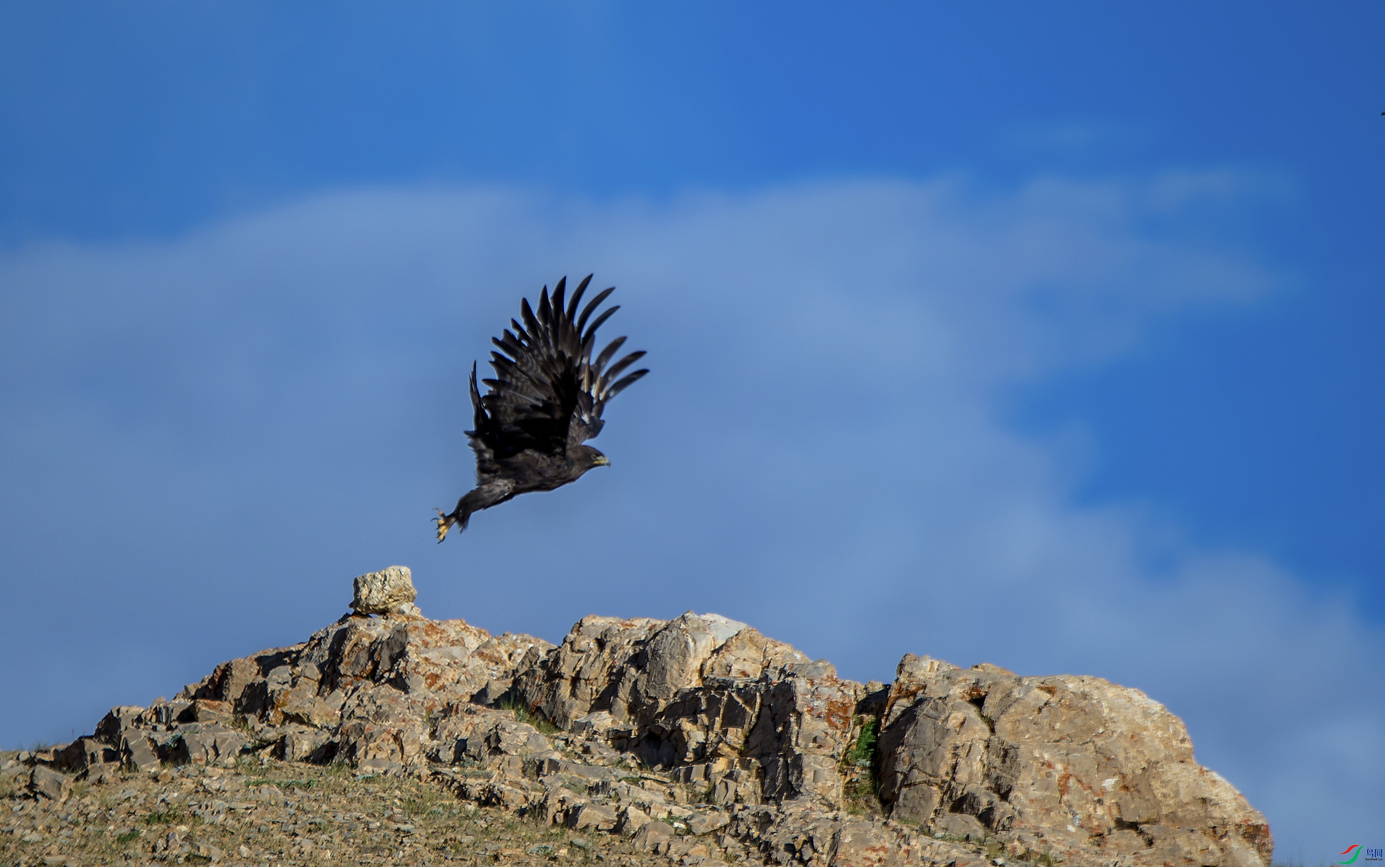 _DSC9625.jpg