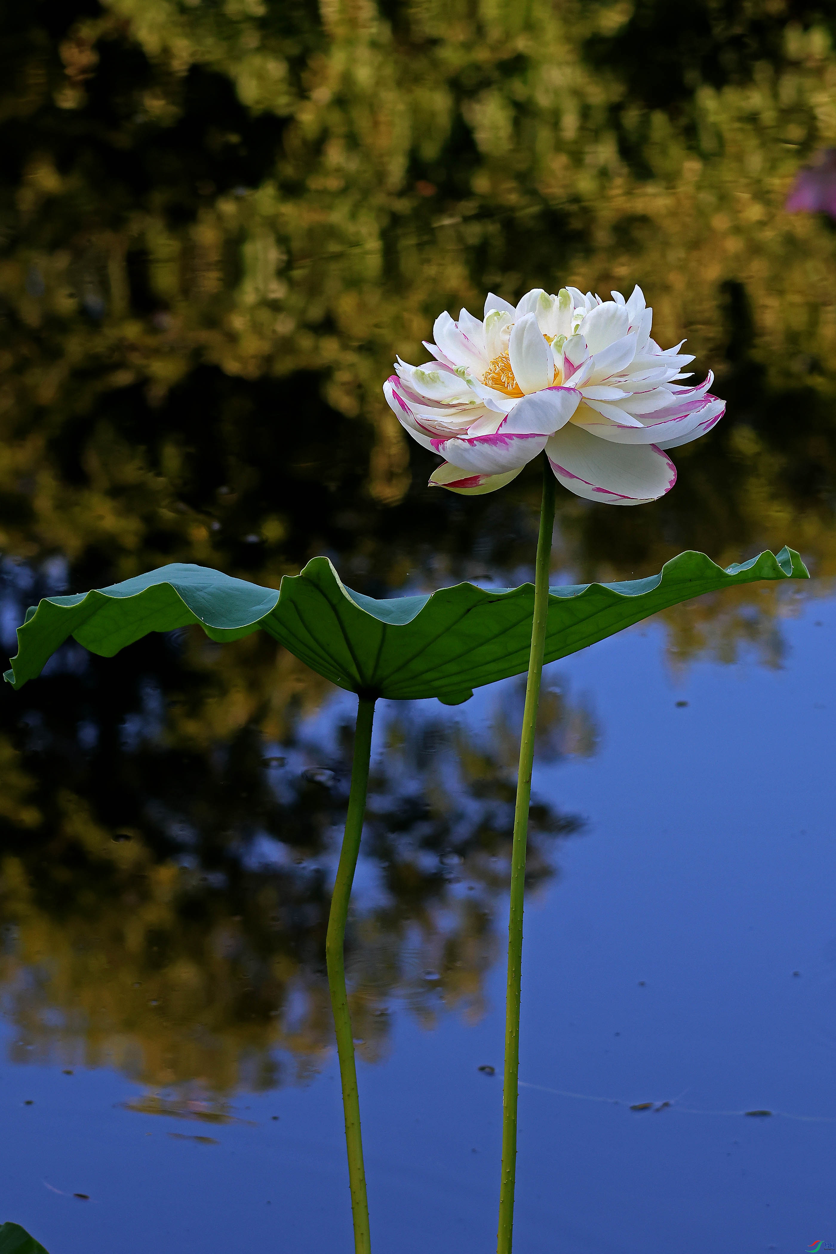 2G9A6580.JPG
