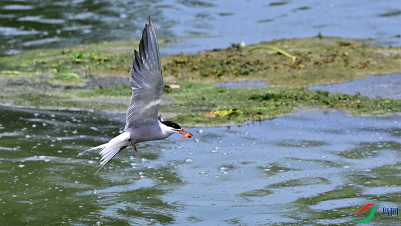 DSC_0757.JPG