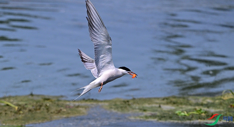 DSC_0762.JPG
