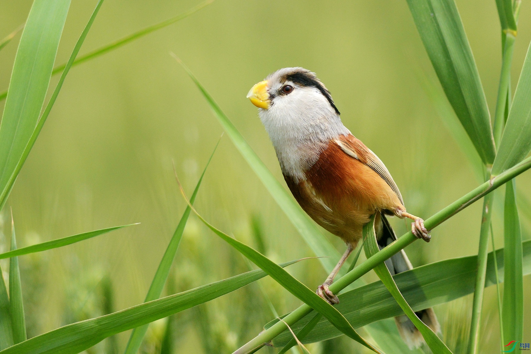 22��DSC_3894_����  ��ѻȸ.jpg