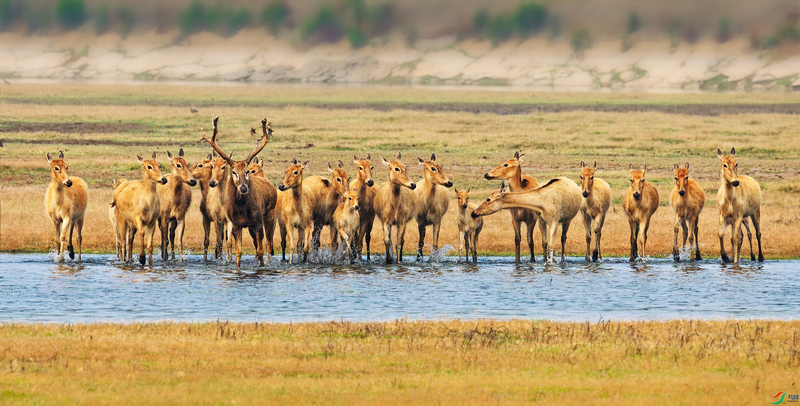 DSC_5432.jpg