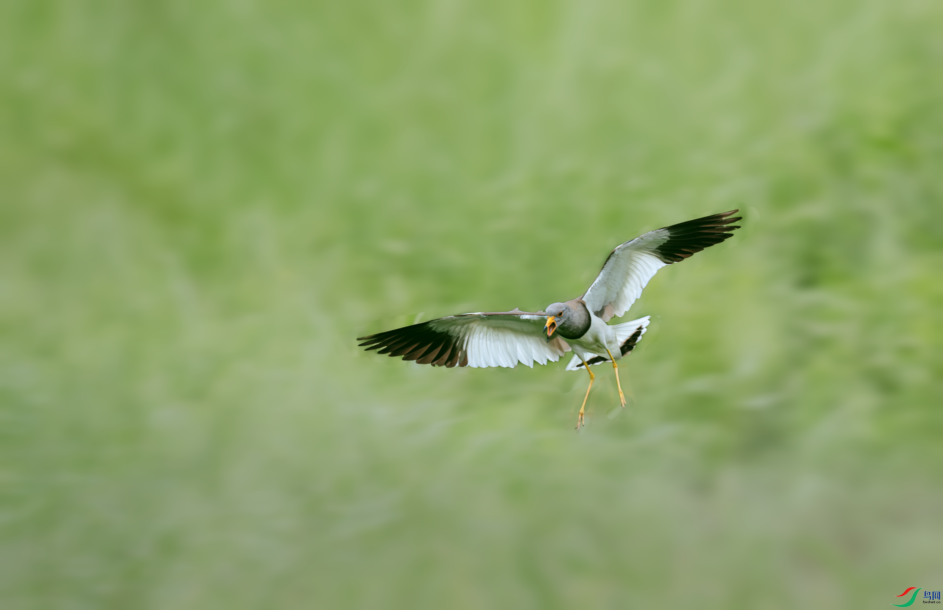 _DSC1567 (2)-����ǿ-NR.PNG