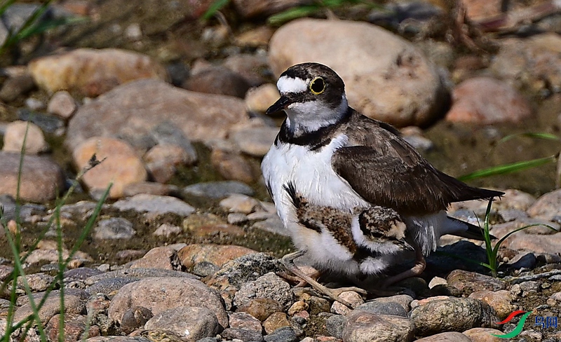 DSC_2725.JPG