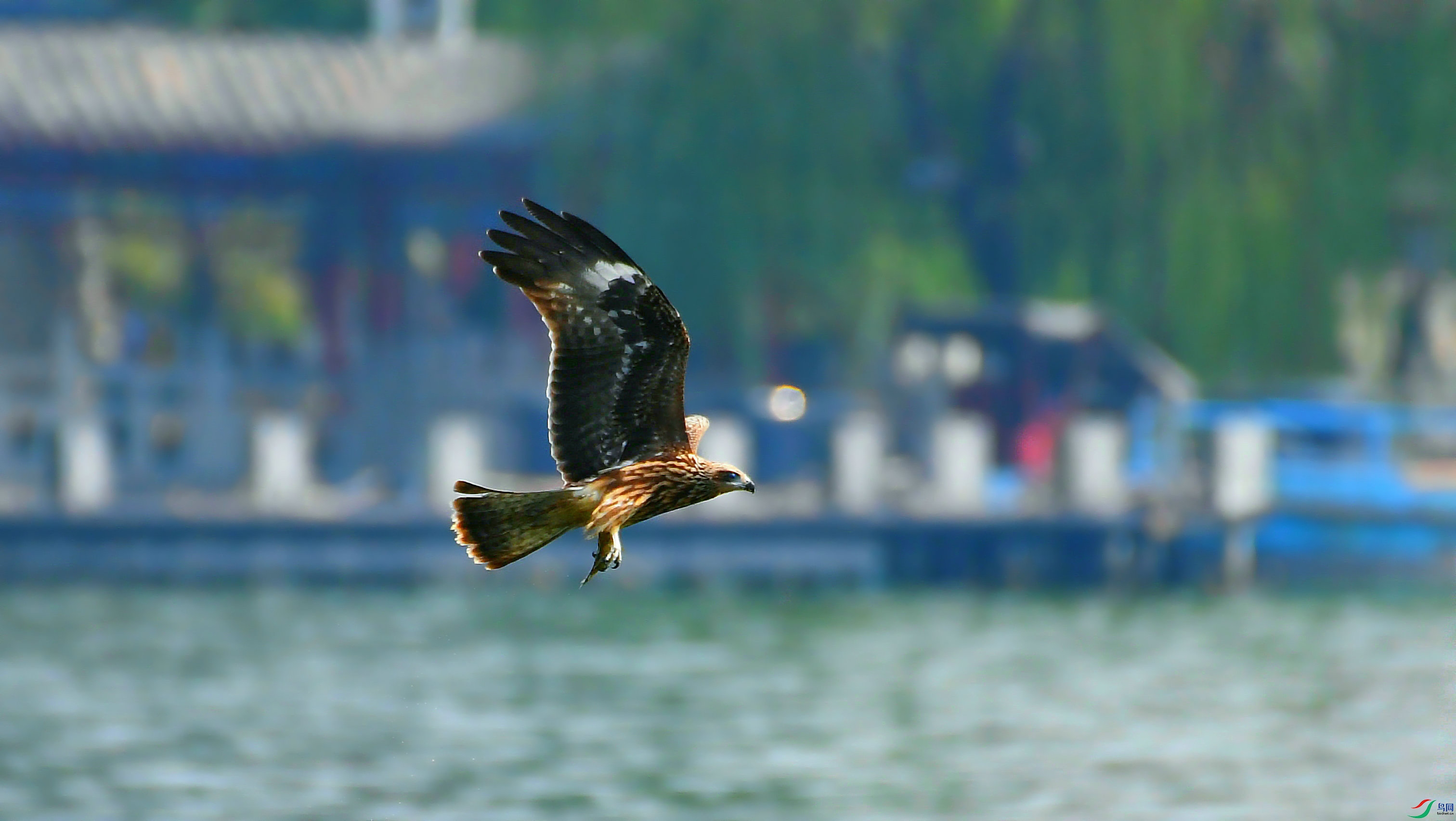DSC_0475.JPG