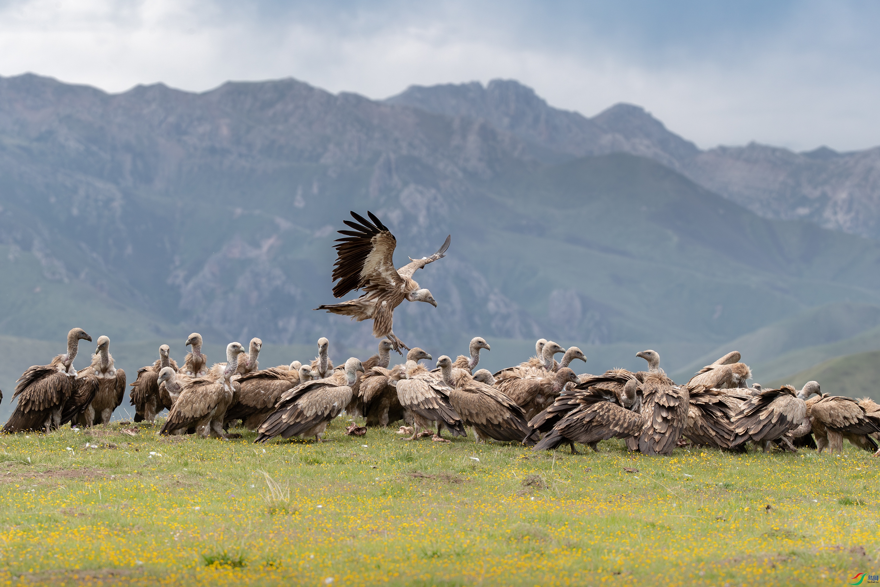 AY8I1617-R ����.jpg