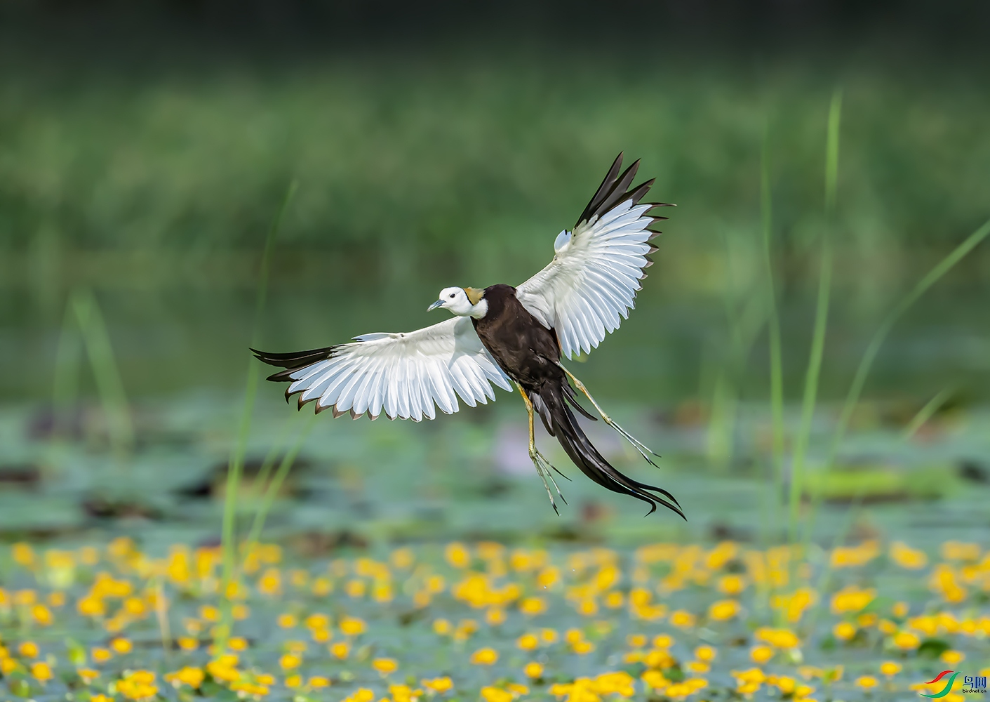 AAA_5475 ���� 2.jpg