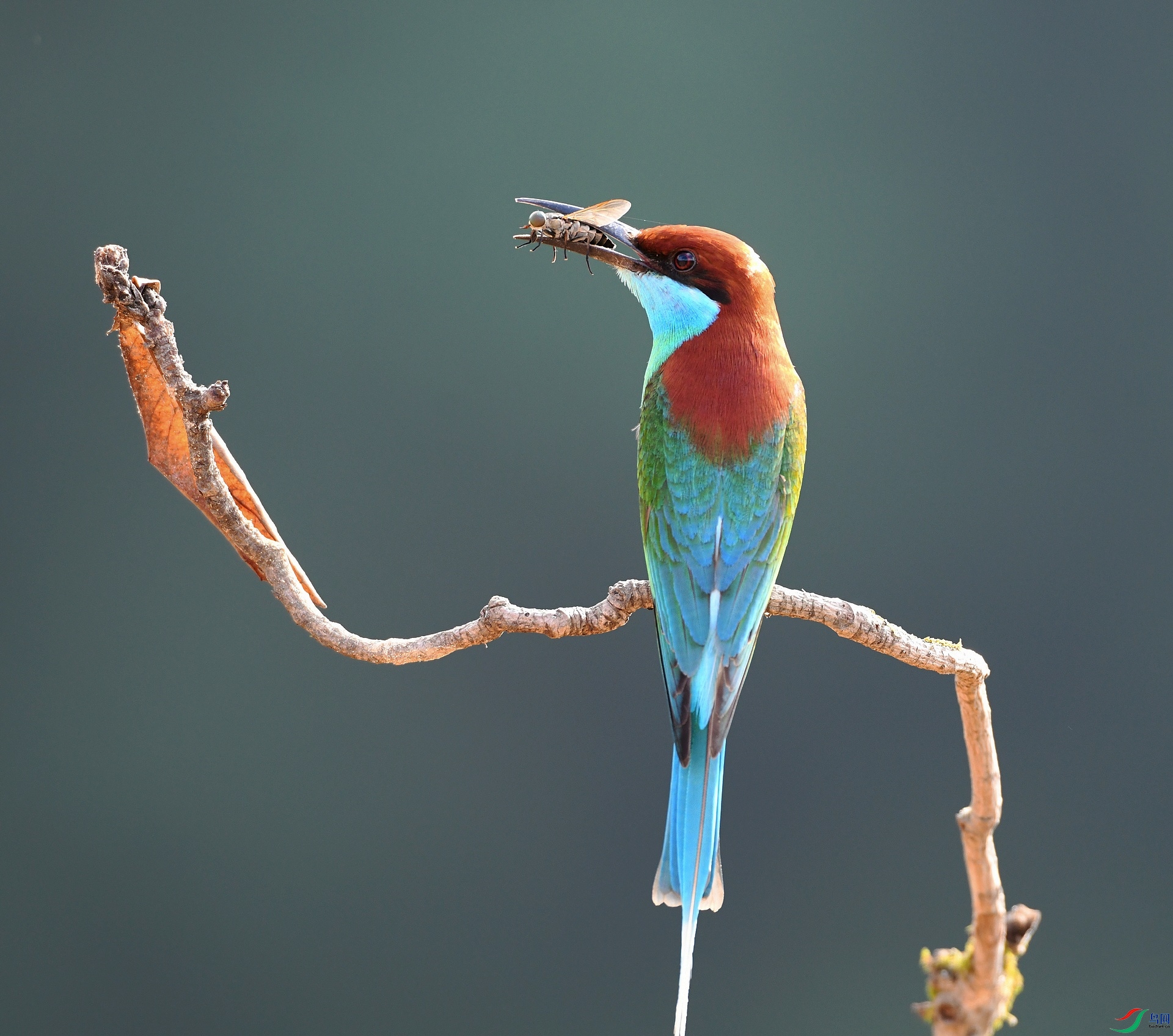 DSC_1474.jpg
