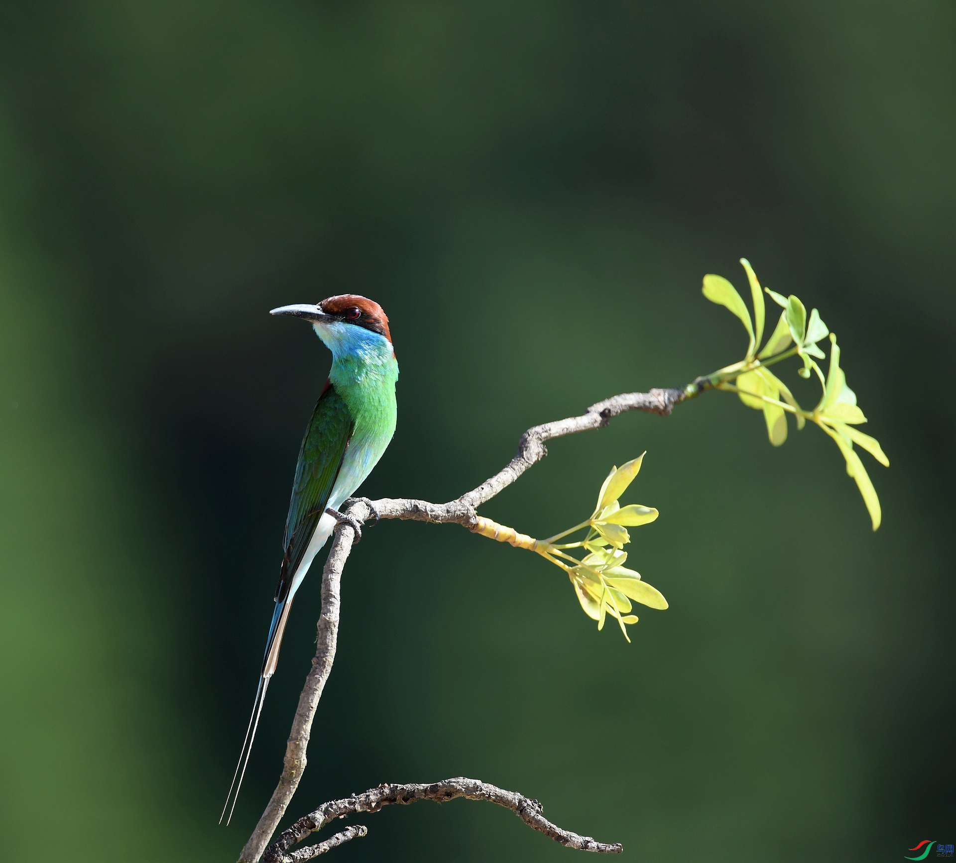 DSC_5666.jpg