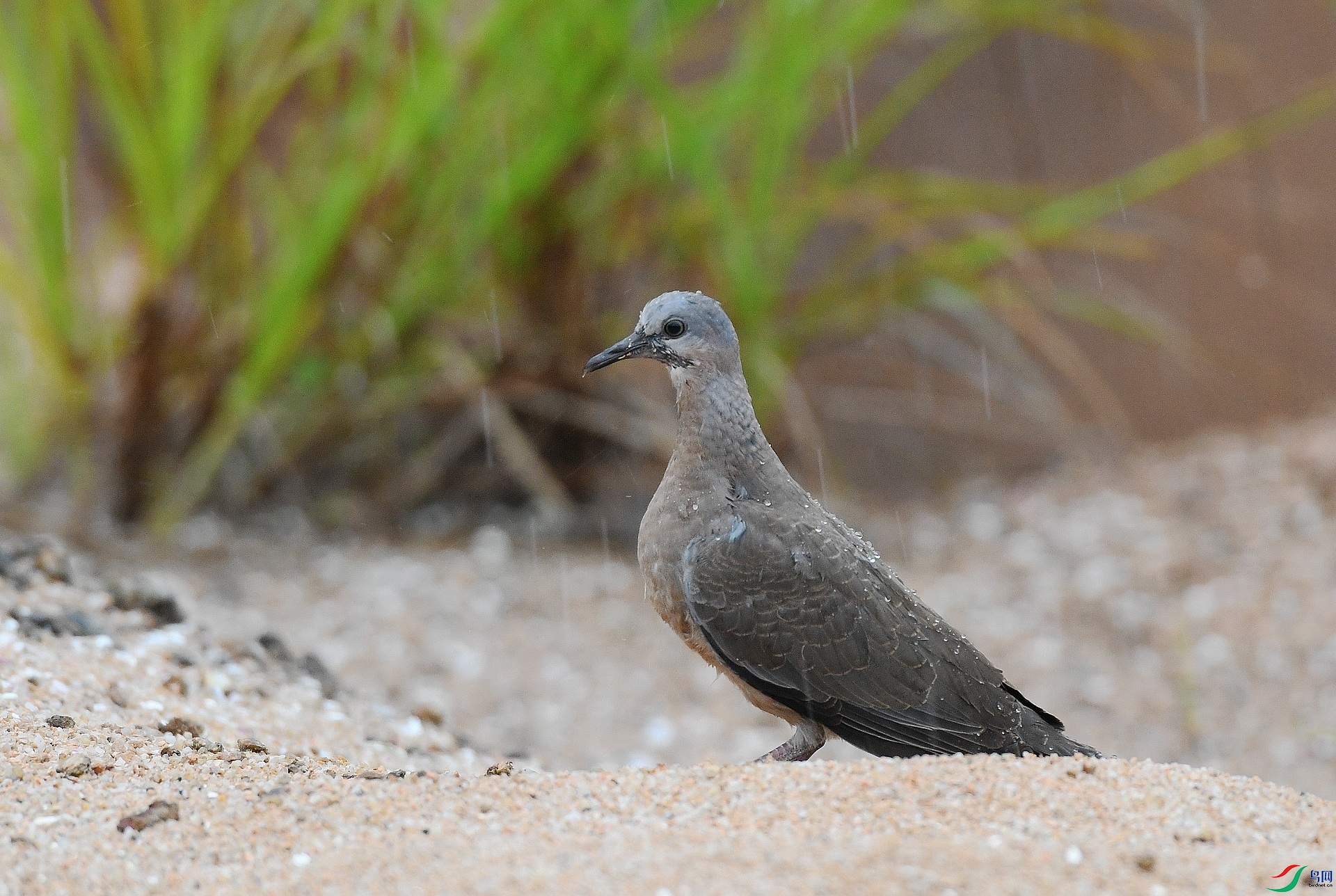DSC_3284.jpg