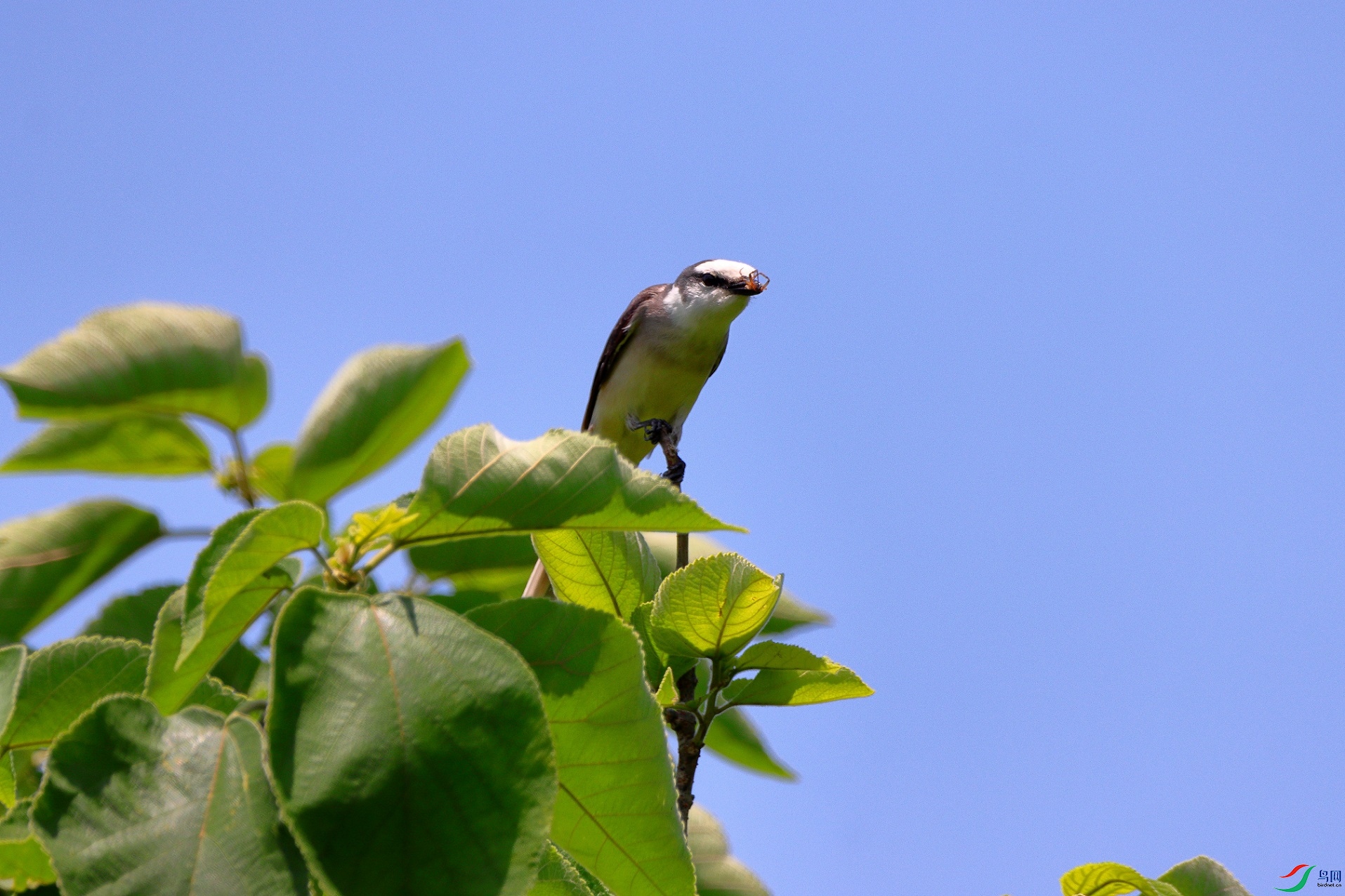 IMG_7496a1.jpg