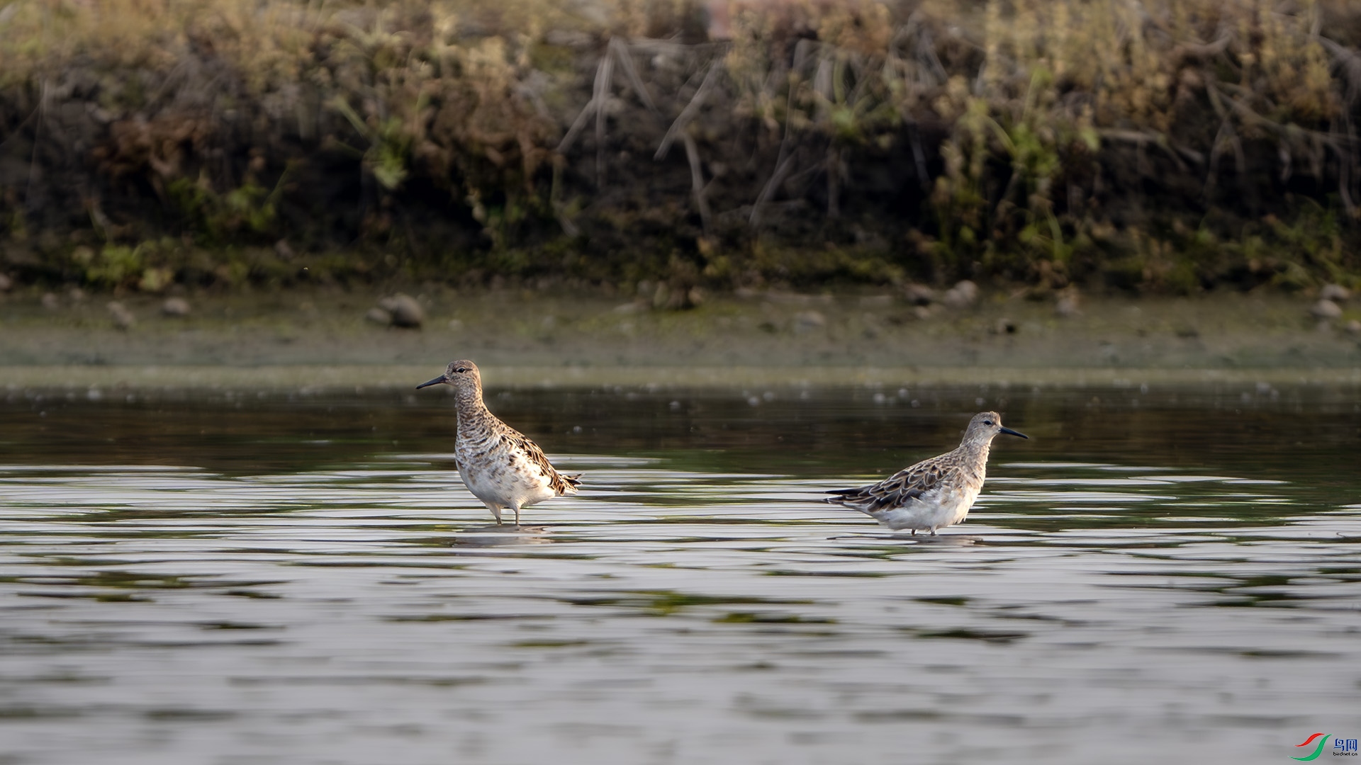 DSC_5210.jpg
