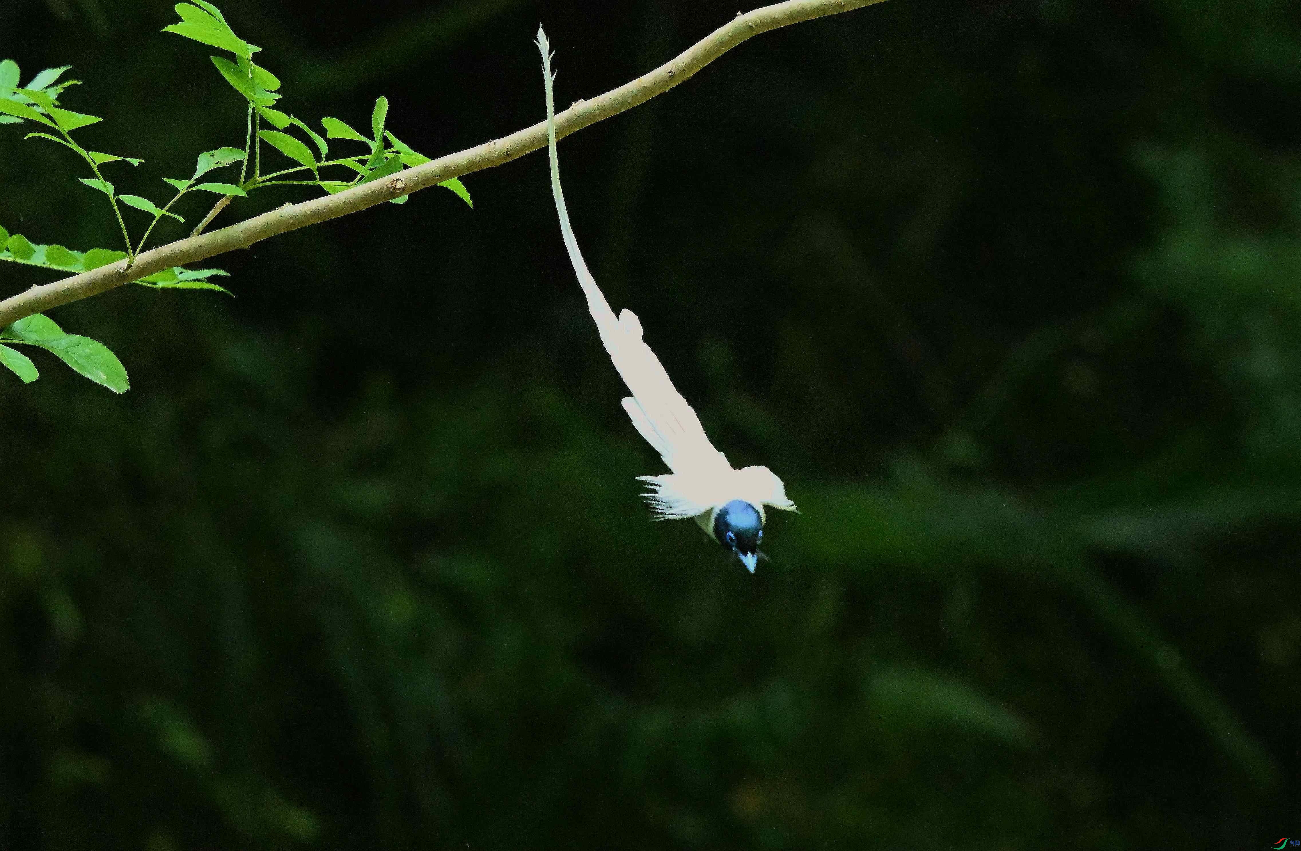 DSC_2392.jpg
