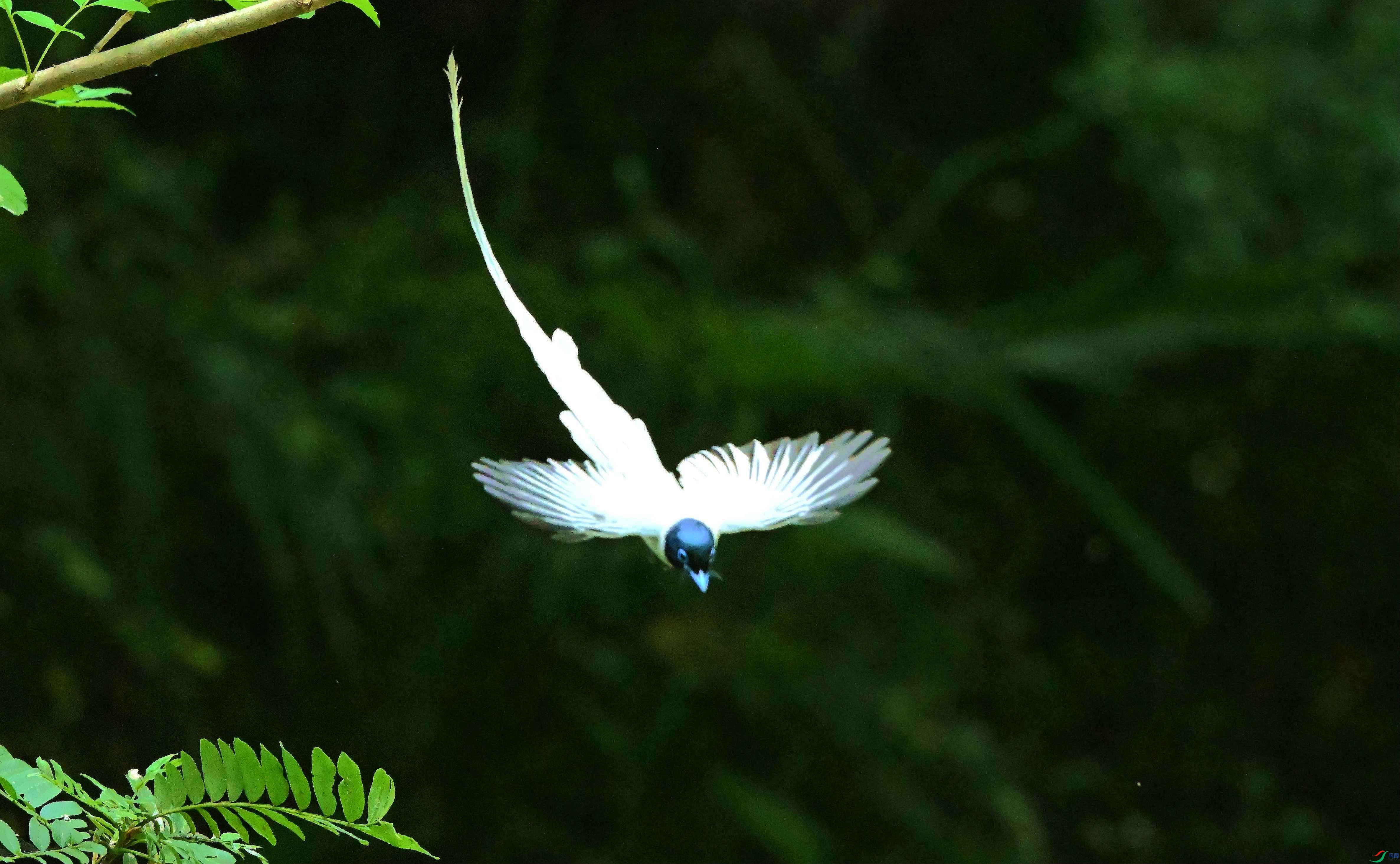 DSC_2393.jpg