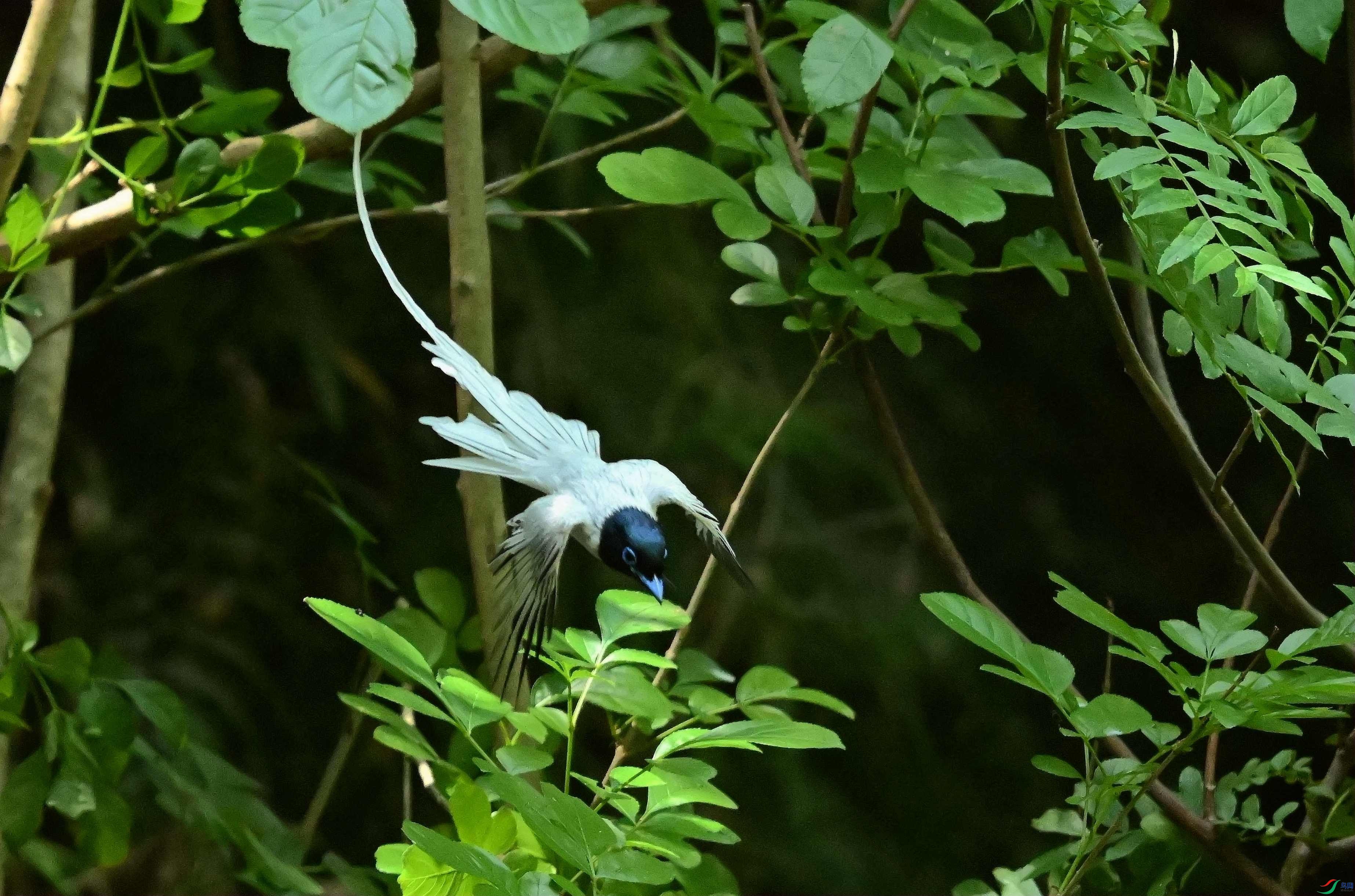 DSC_2440.jpg
