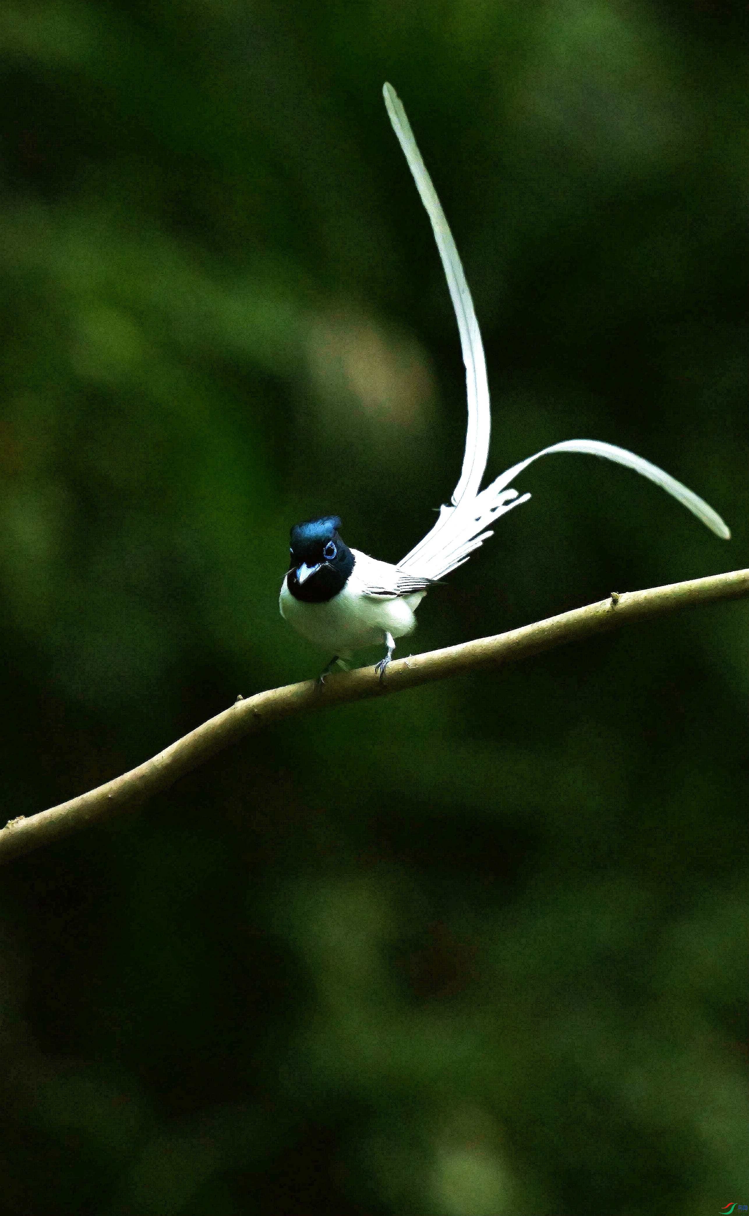 DSC_3005.jpg