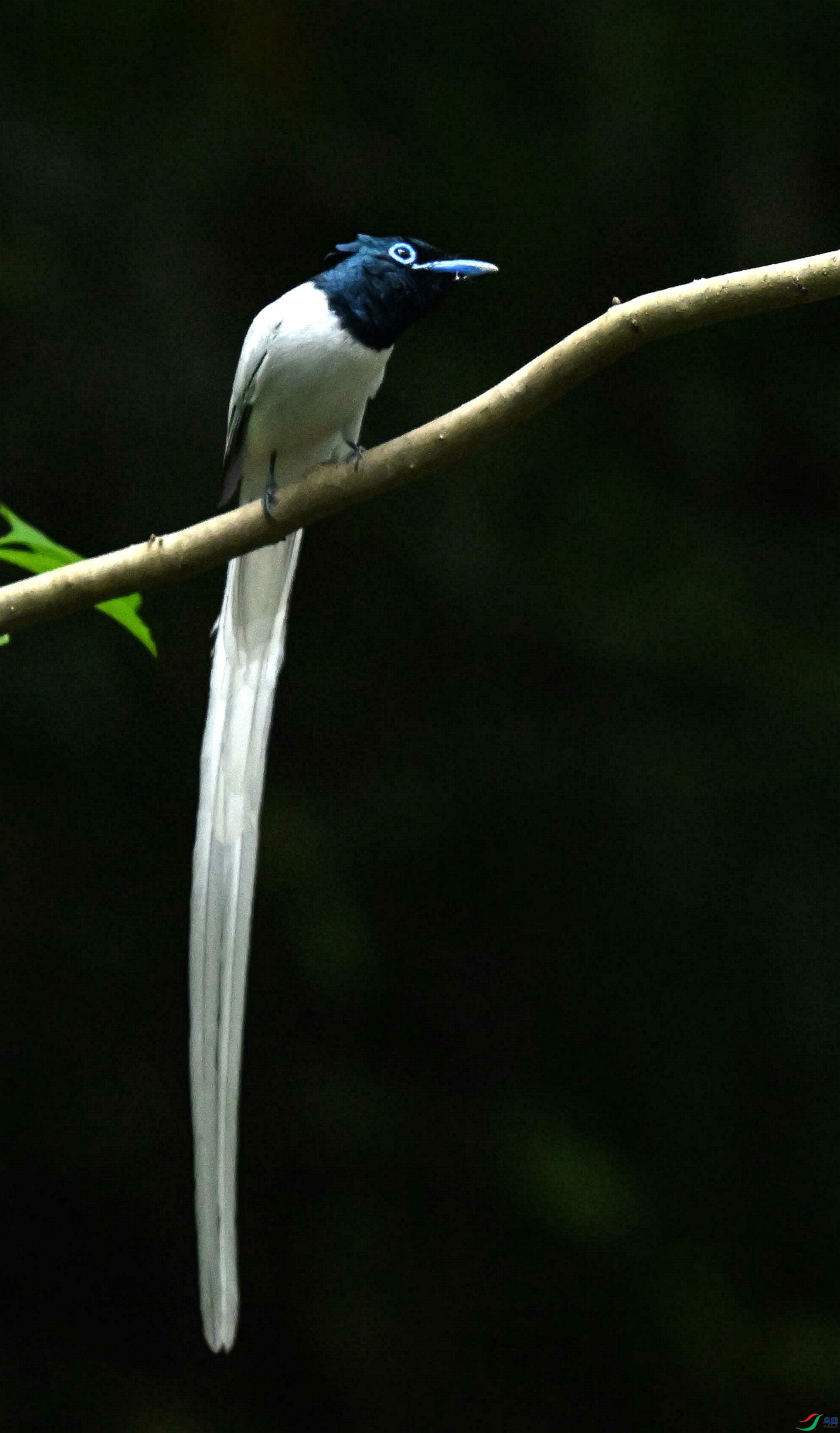 DSC_4356.jpg