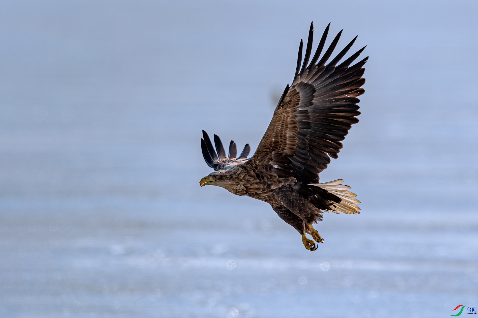 DSC_4111-11.jpg