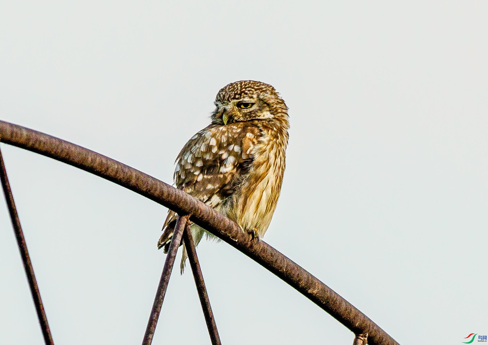 P7120592---2.jpg
