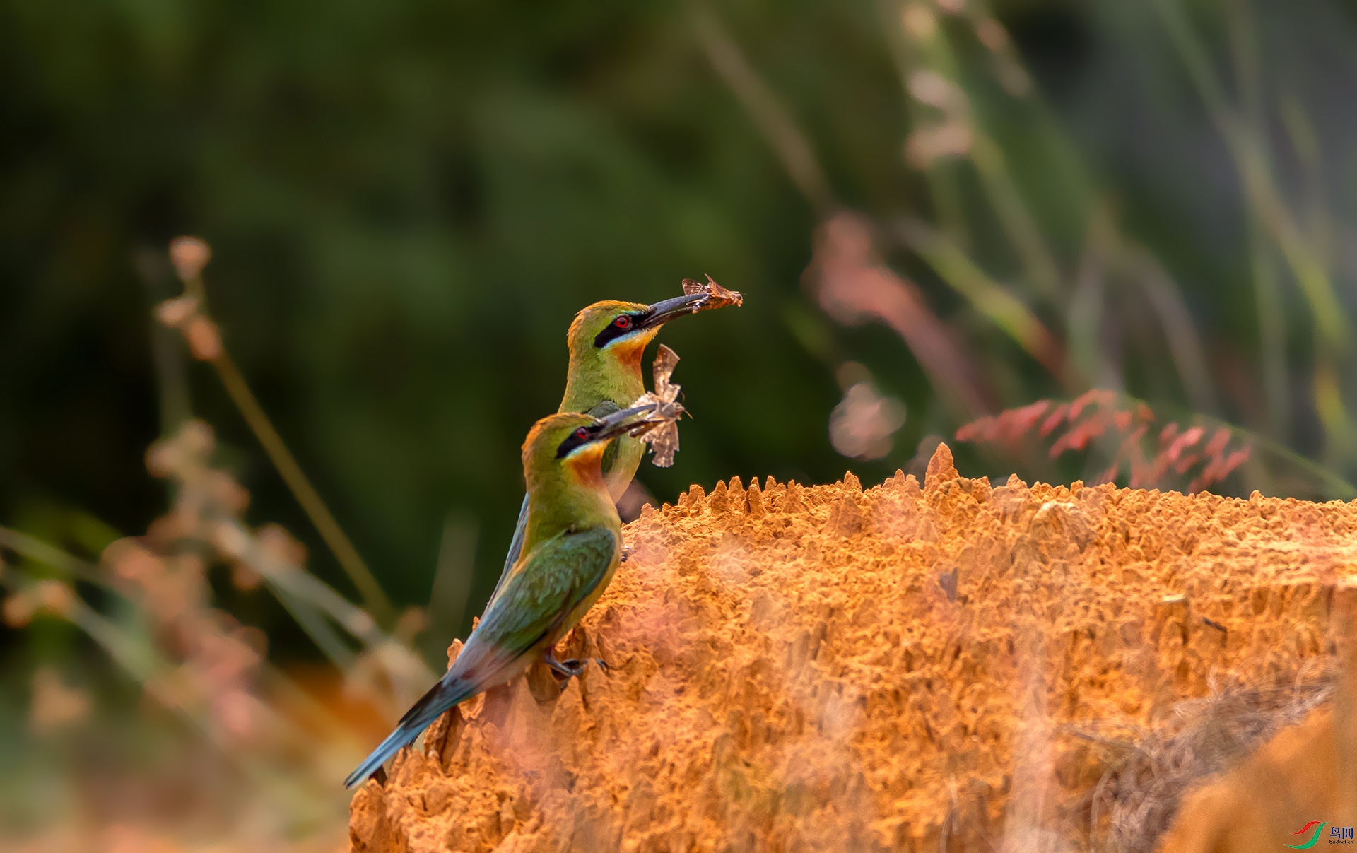 407A0565 ����----1 .jpg