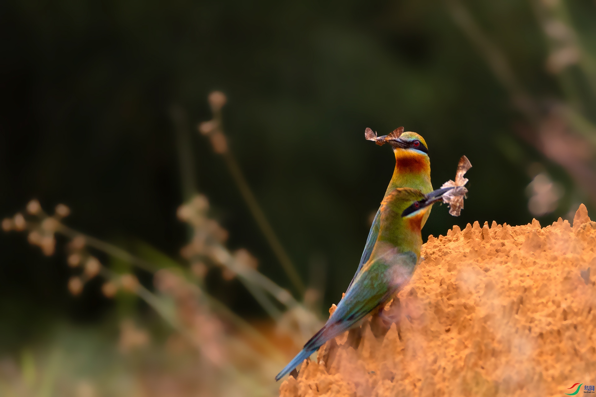 407A0439 ����----1 .jpg