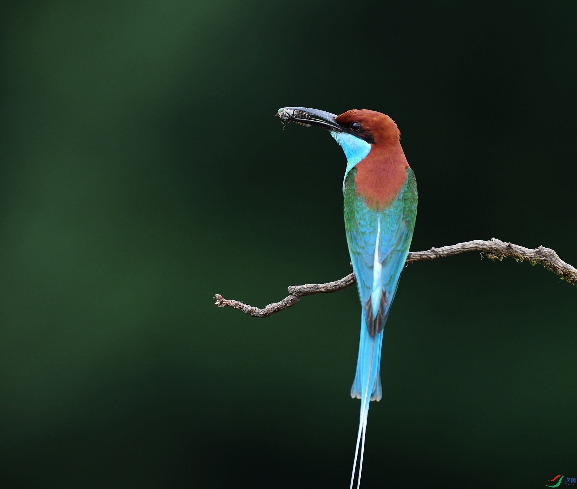 DSC_2802.jpg