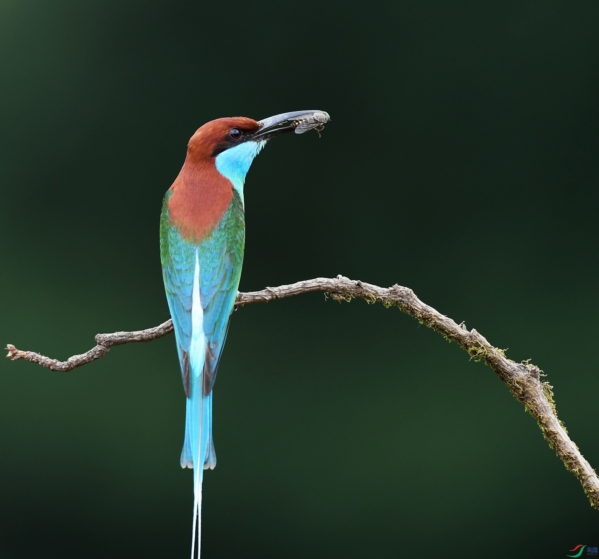 DSC_2823.jpg