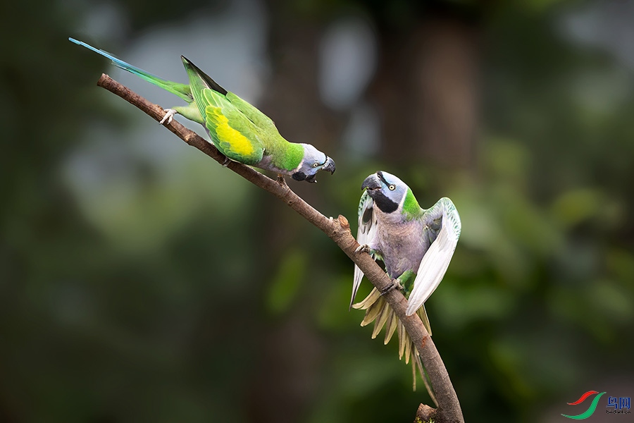 6H7A5073 ����.jpg