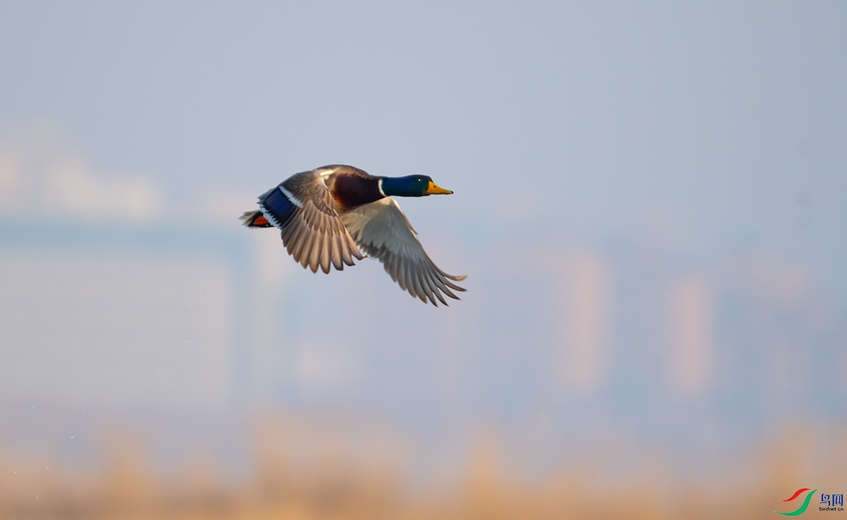20210313 (348).jpg