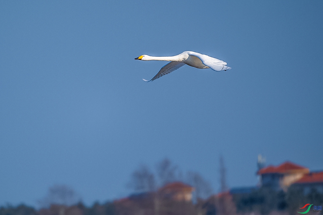 DSC_7035-.jpg
