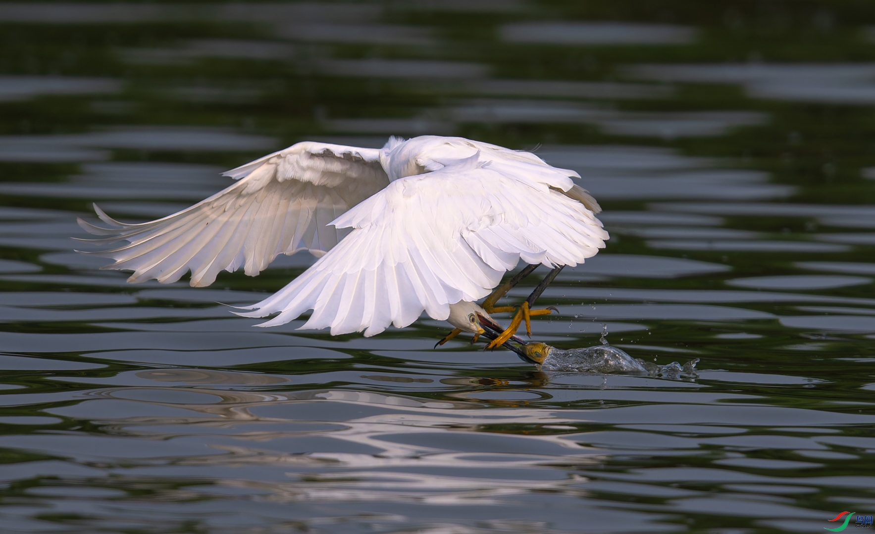 DSC_1418-DxO_DeepPRIME XD2s_XD-2.jpg