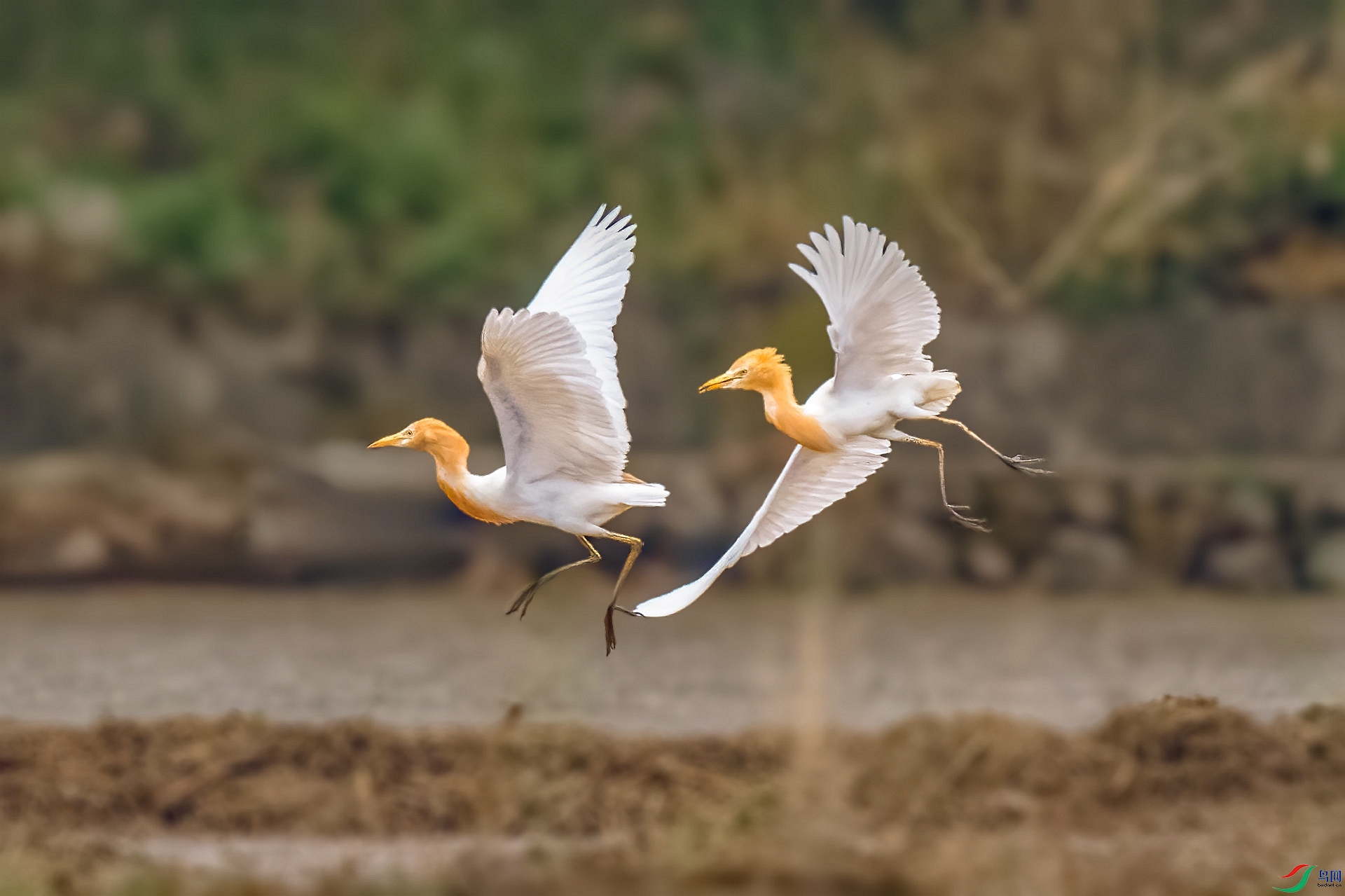 DSC_7936_����.jpg