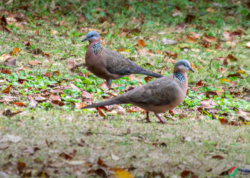 _DSC7958.jpg