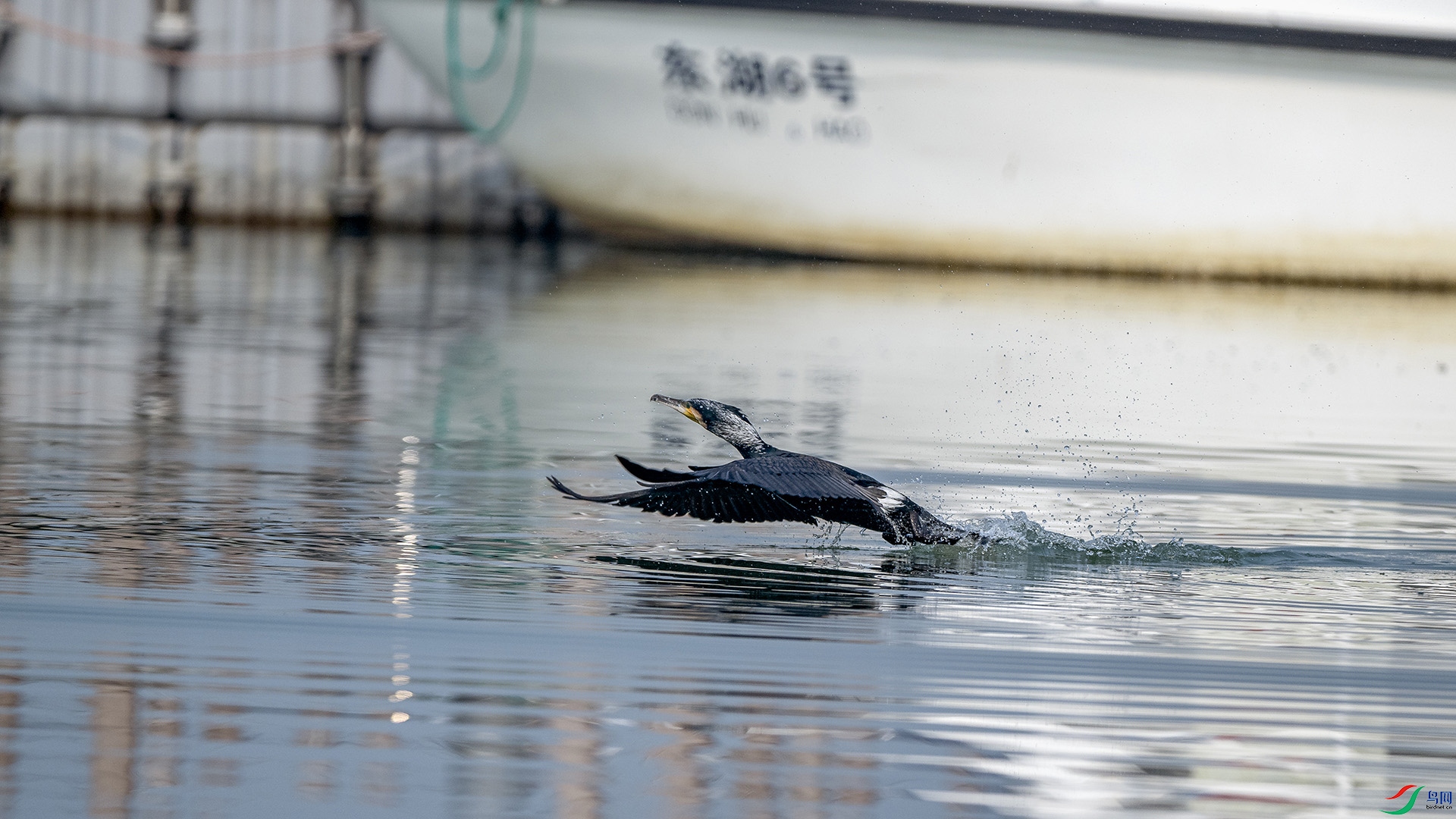 DSC_4513.jpg