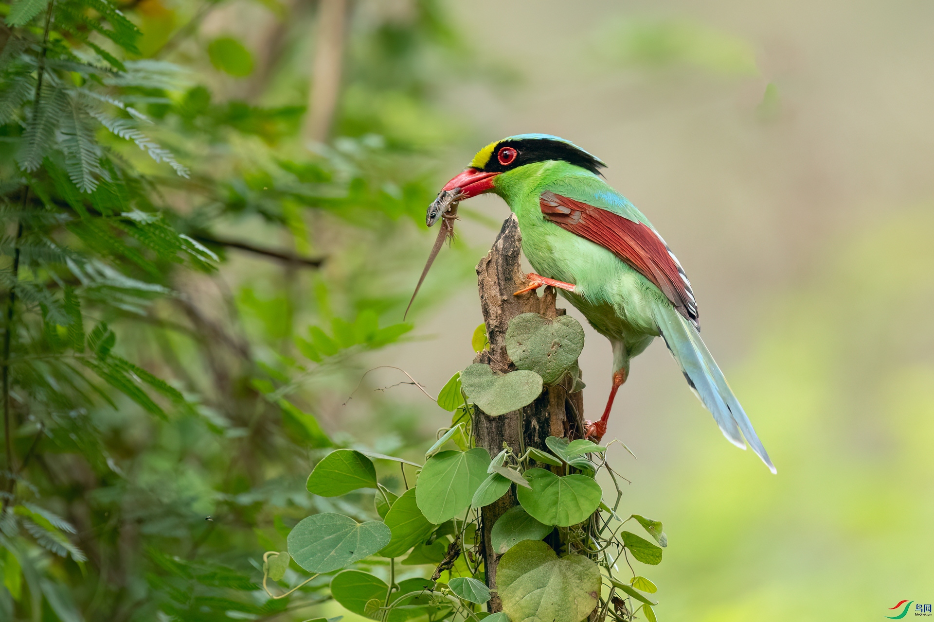 B86I0378 _����.jpg