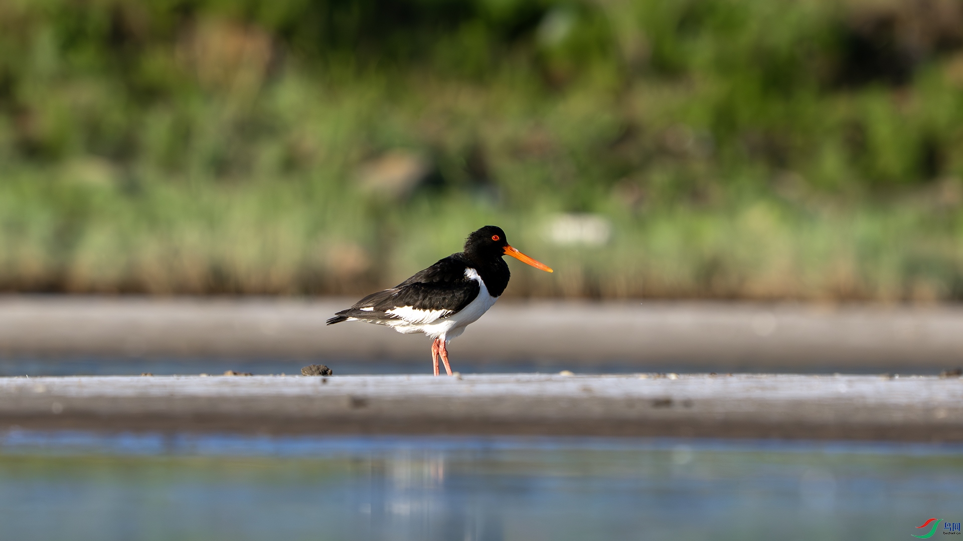 DSC02299-����ǿ-NR ����.jpg