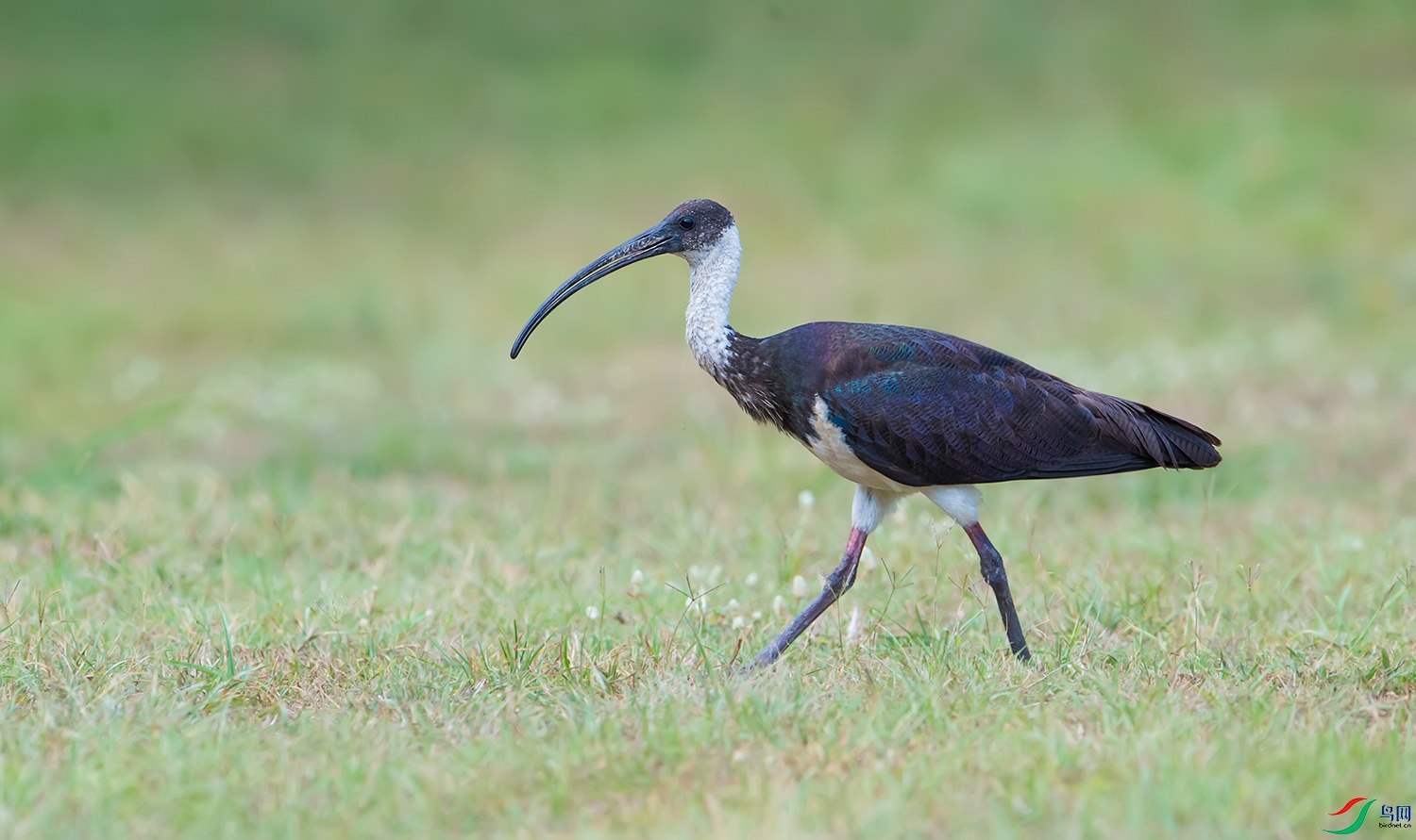 DSC_47631.jpg