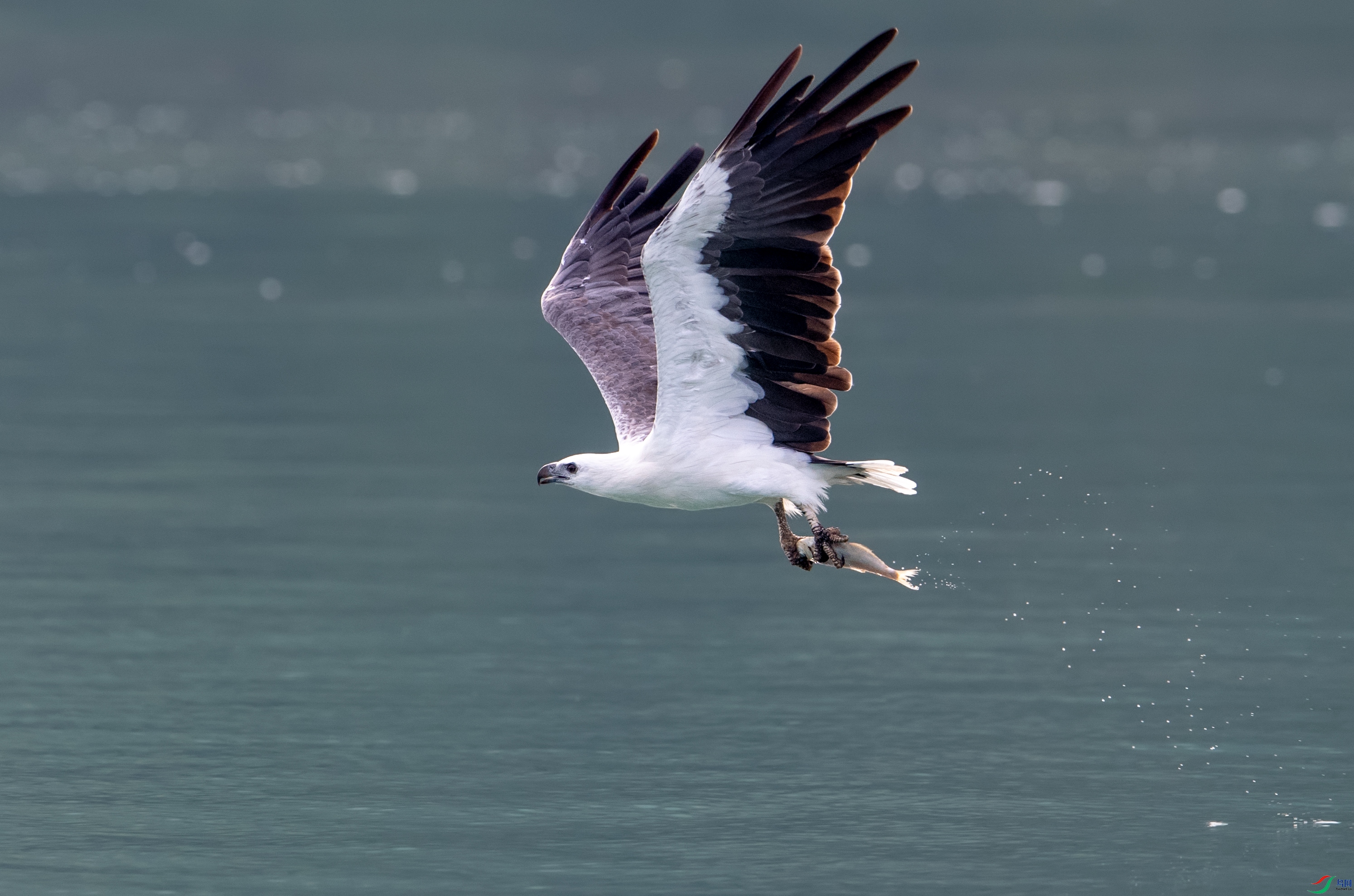 DSC_5825.jpg