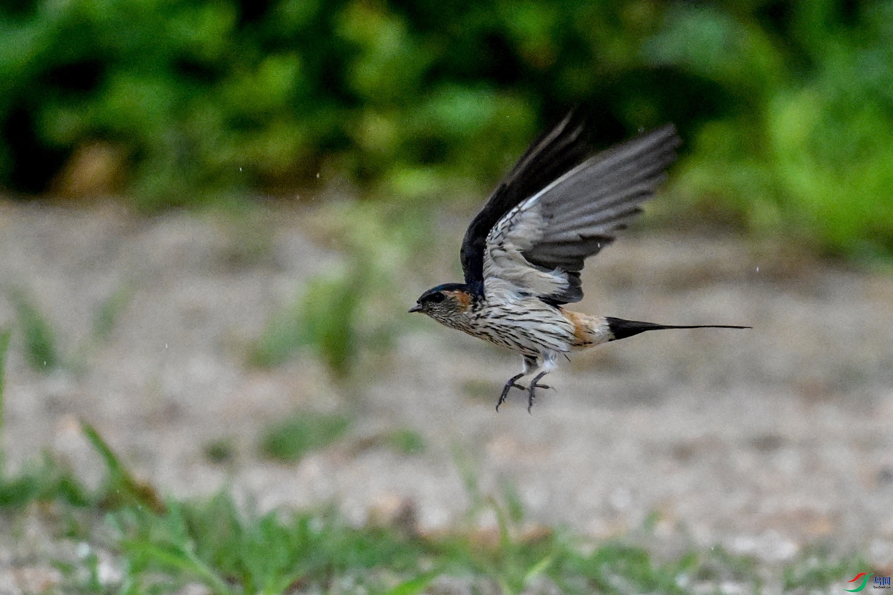 DSC_4272.JPG