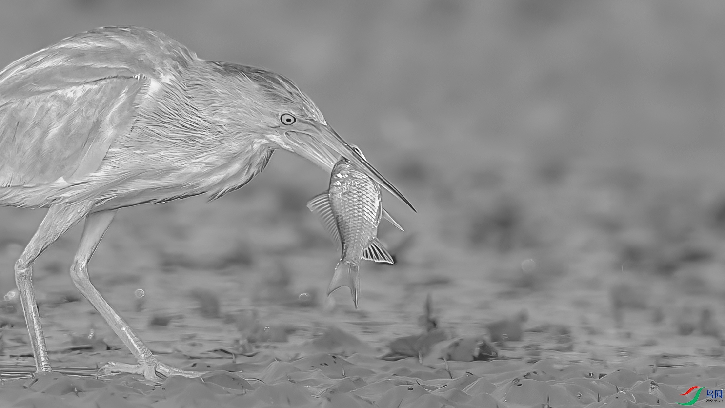 AE1V6838 ����1.jpg