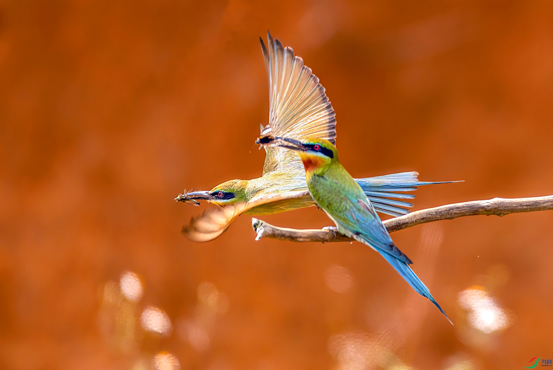 407A7049 ����-Sh---1 .jpg