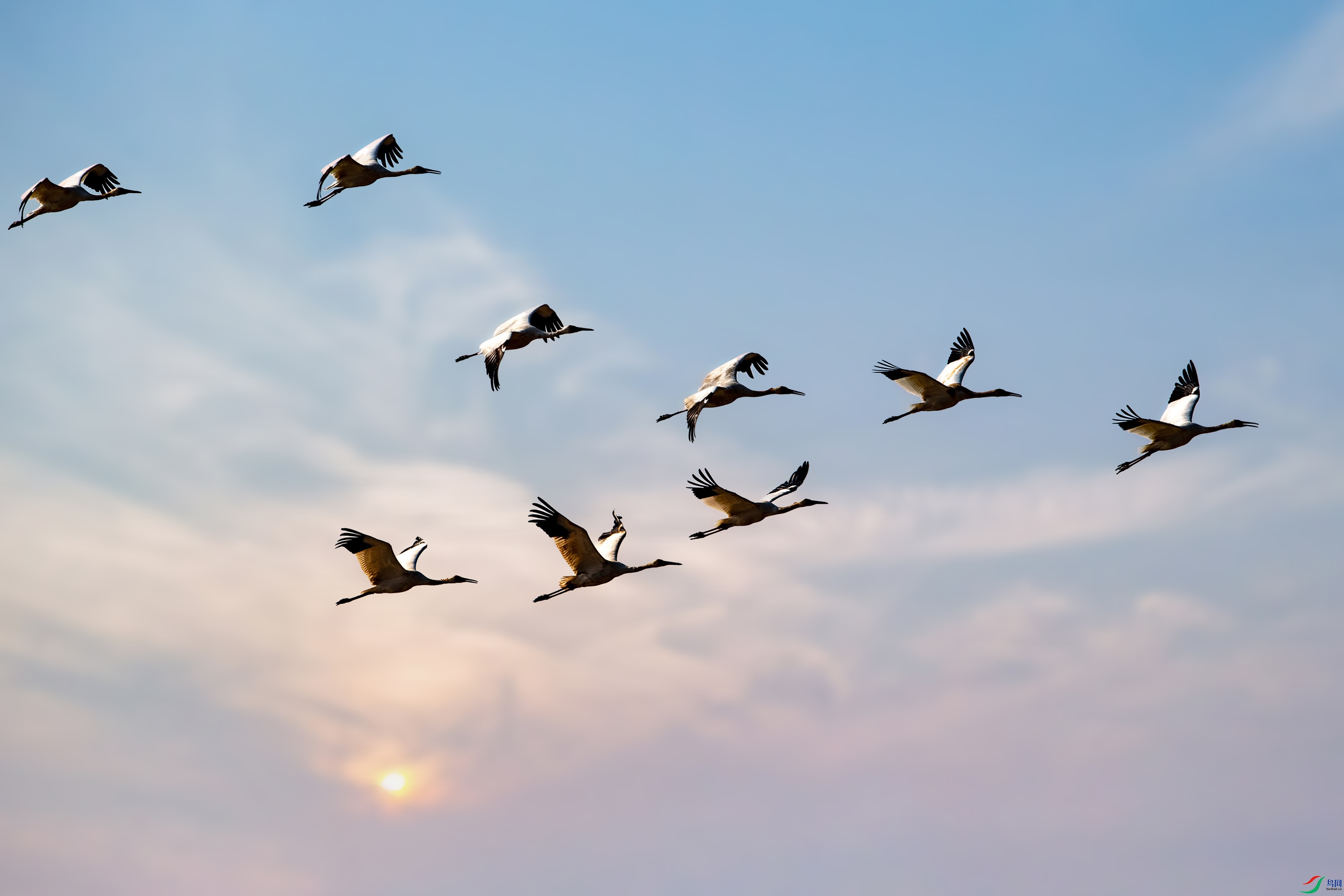 AM3I1109.jpg