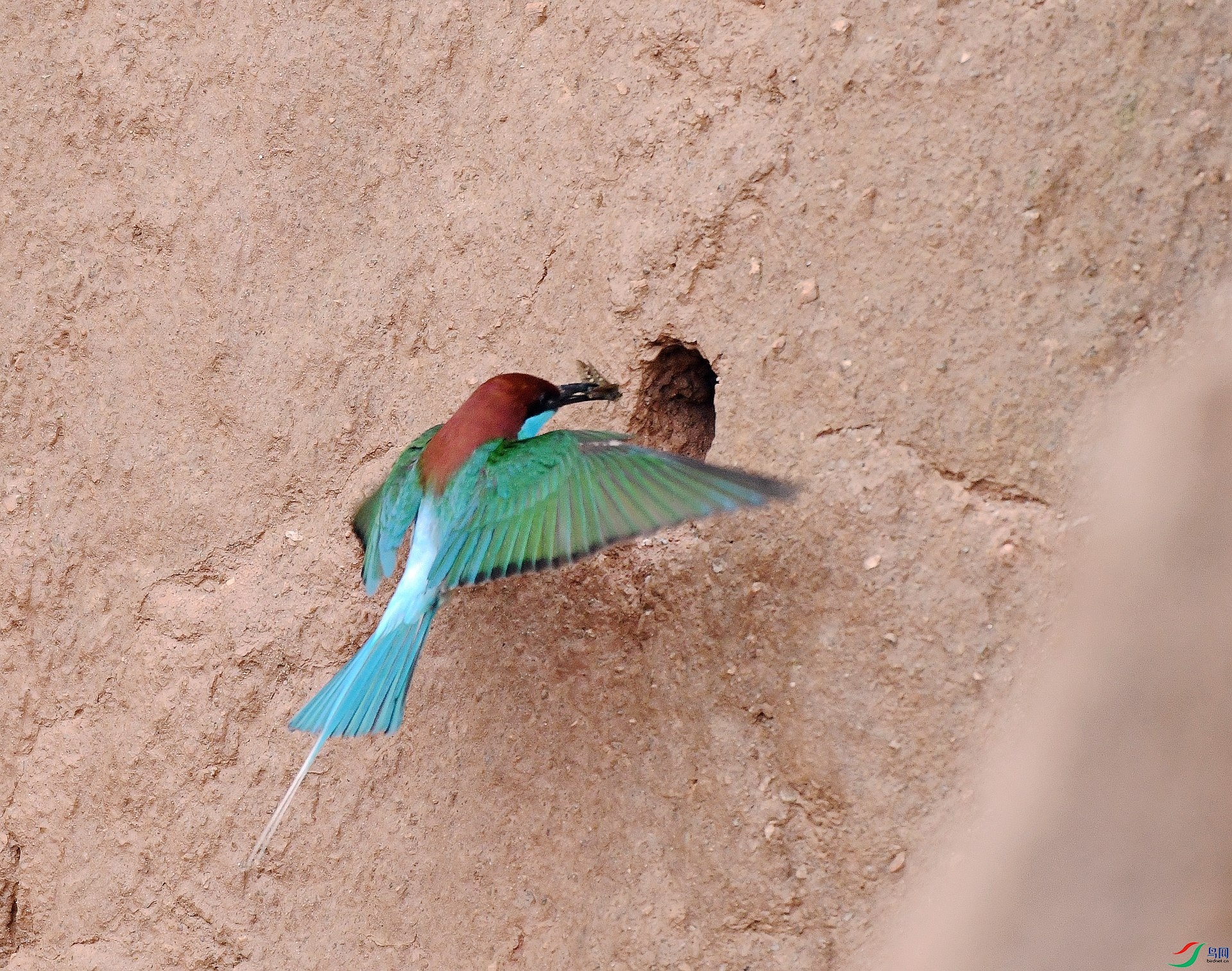 DSC_3866.jpg