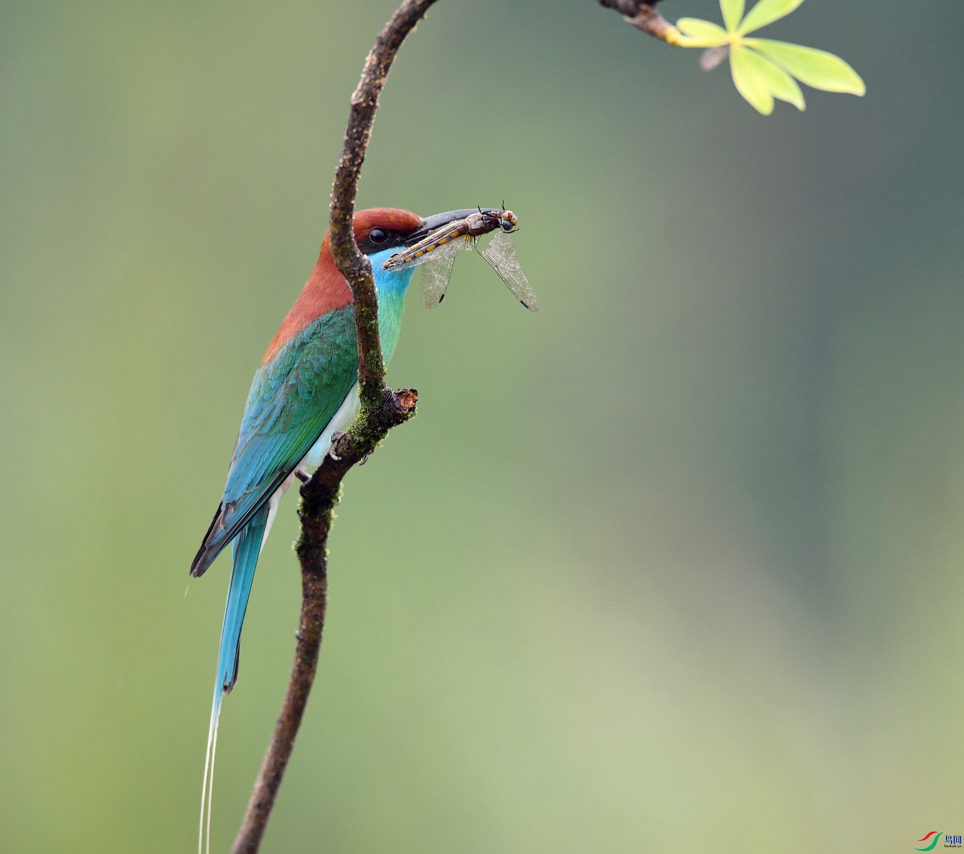 DSC_3625.jpg