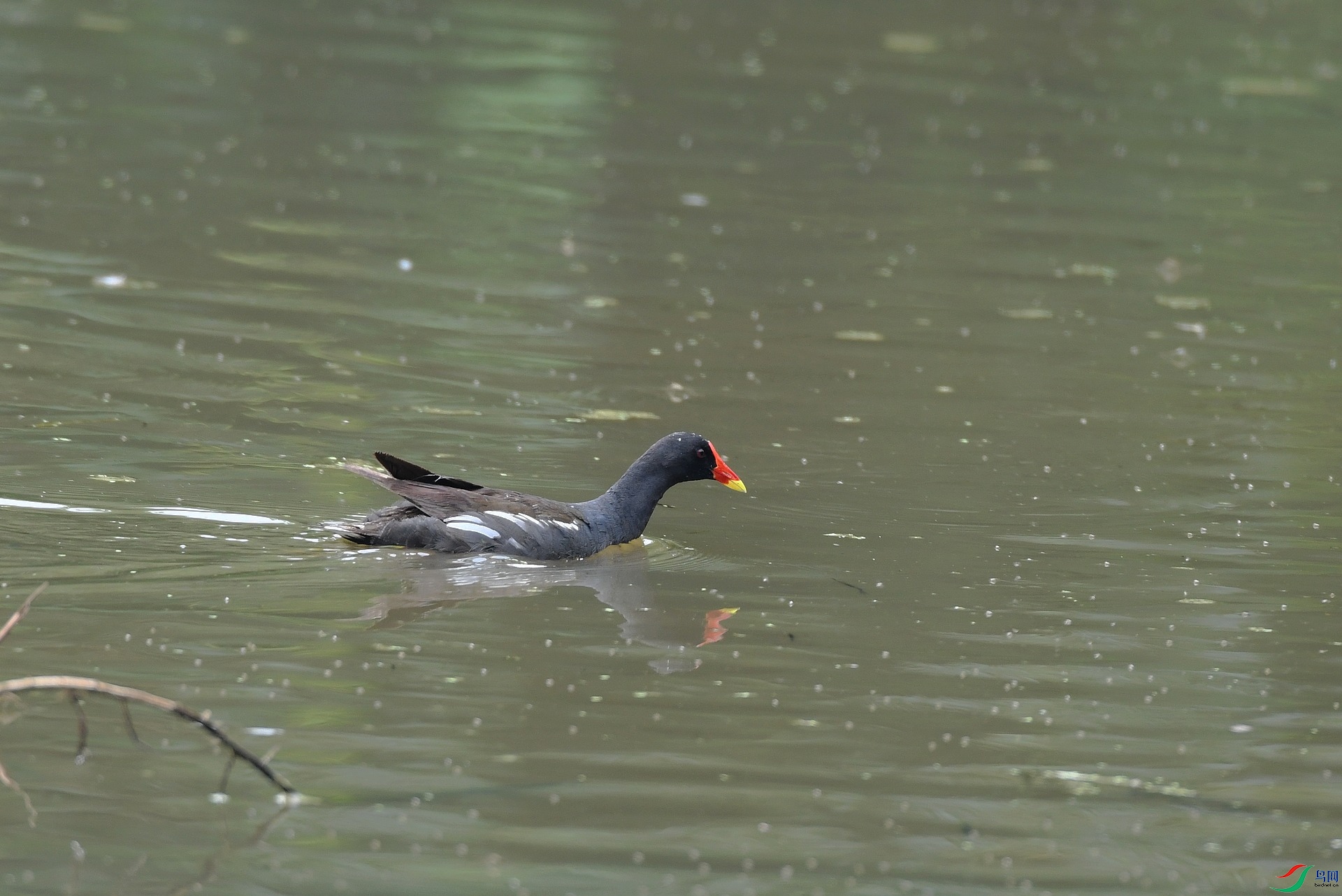 DSC_4444.jpg