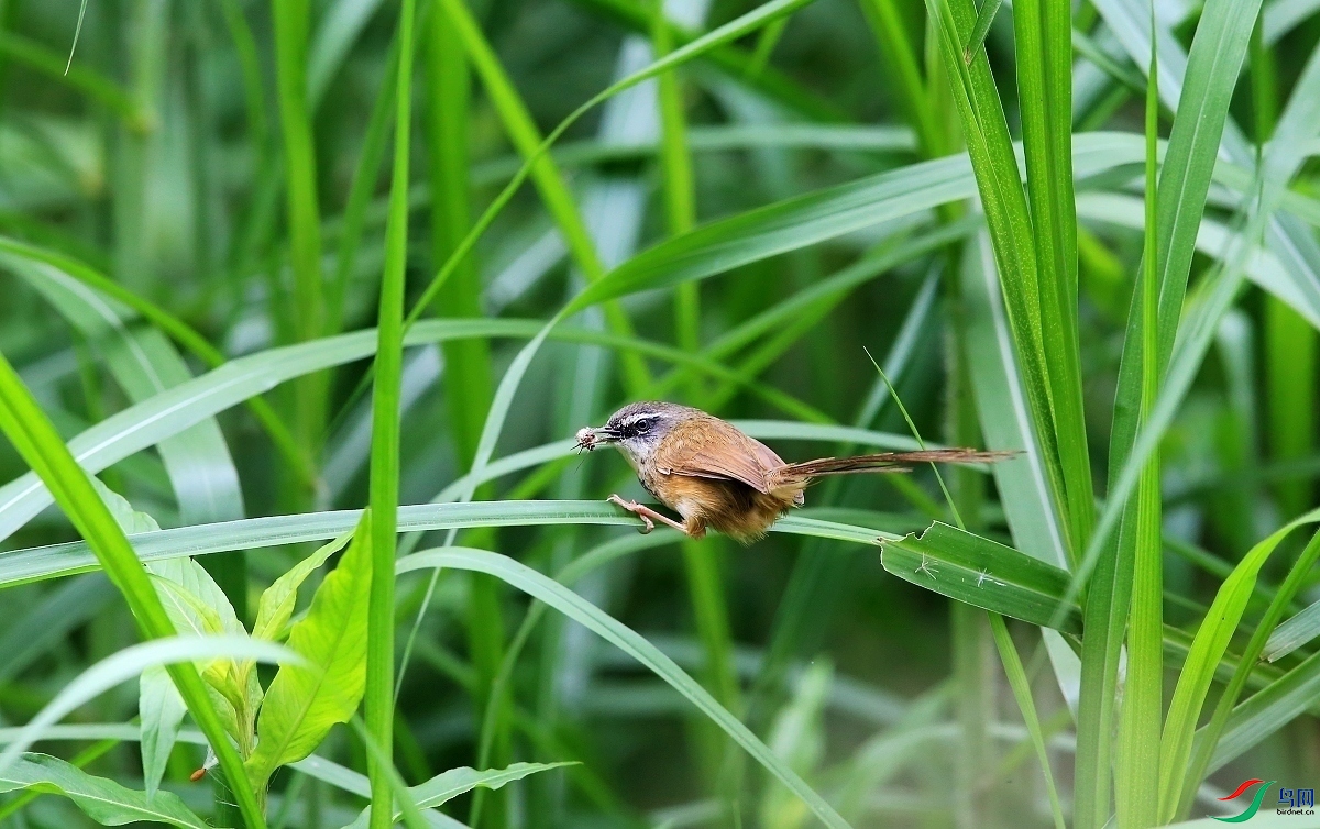 ���� IMGL3384.JPG