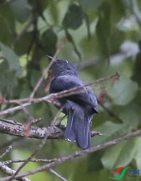 �ٻ��� (4)����1.jpg