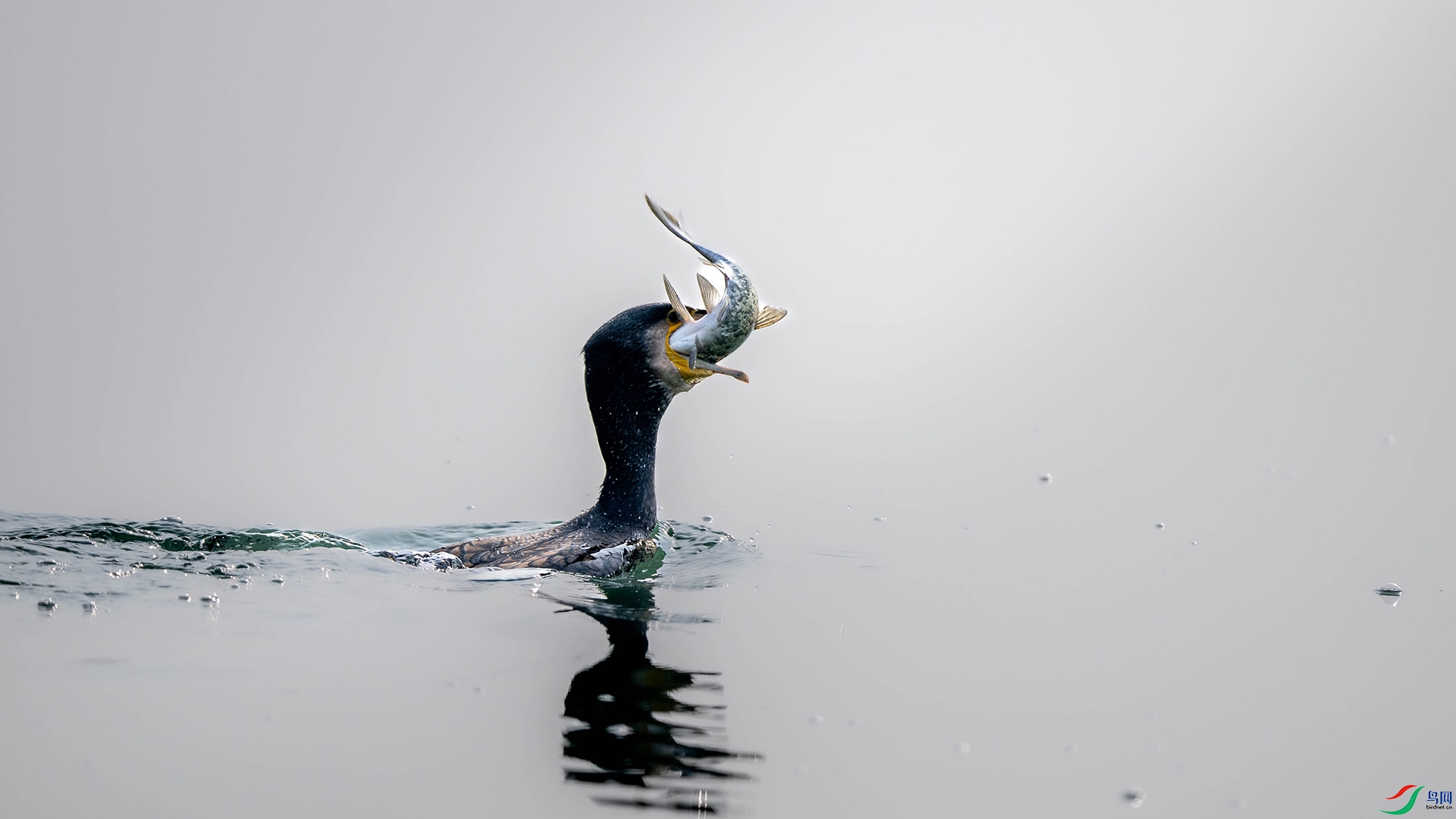 DSC_5238.jpg